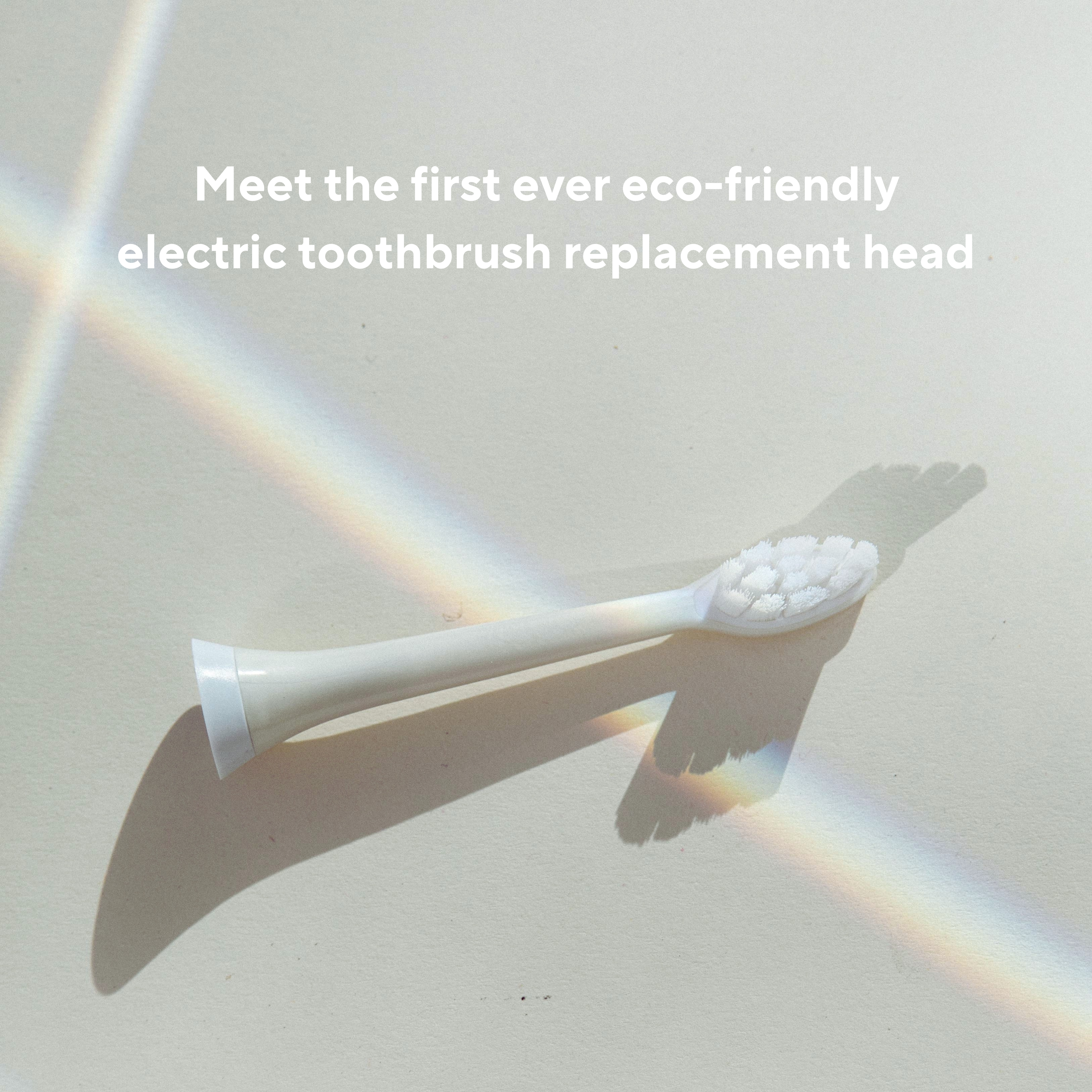 Electric Toothbrush Replacement Heads、mySite、gigharbornorthrealestate