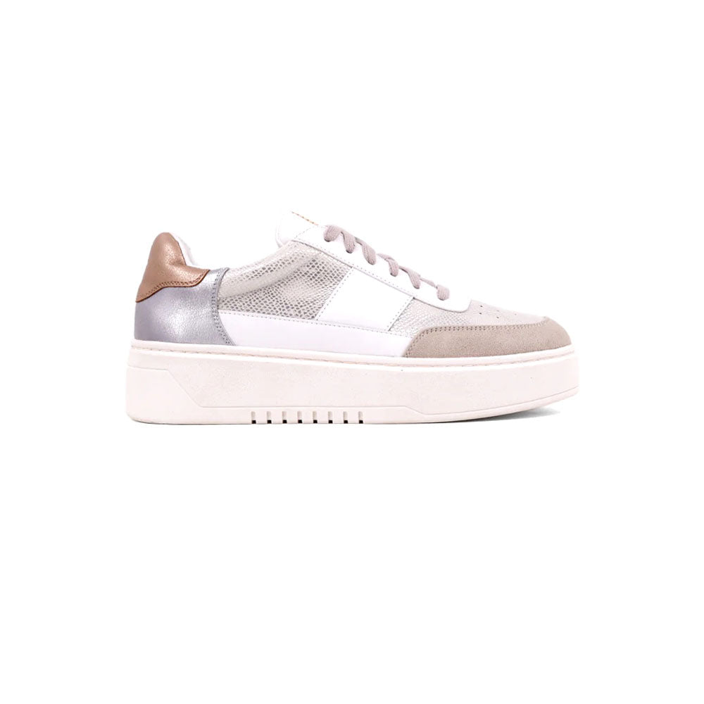 Oriana Metallic Snake Print Lace Up Sneakers、mySite、gtrtttuynbv