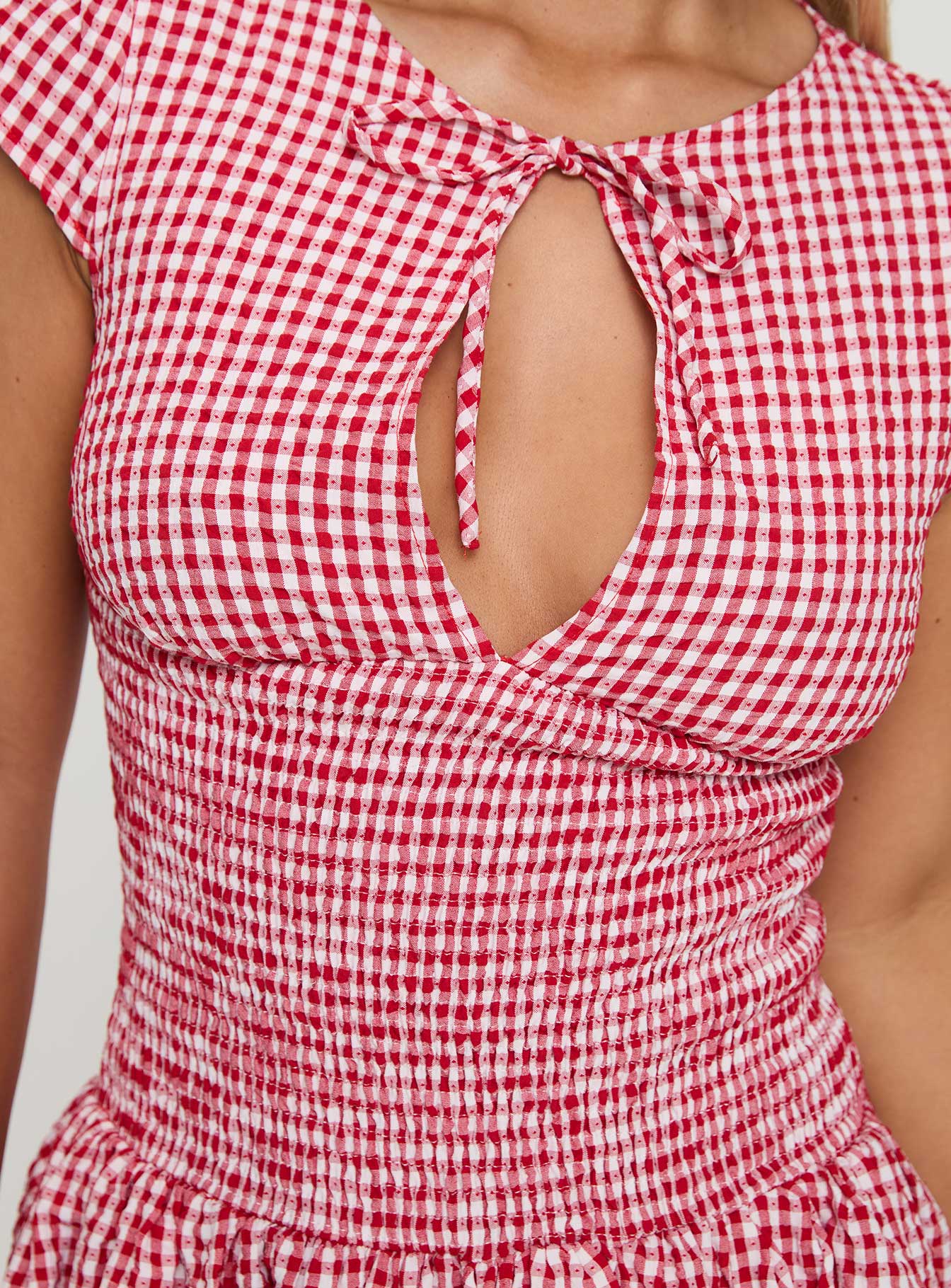 Ladybug Gingham Mini Dress Red、mySite、solidvoid