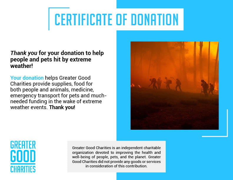 Help People and Pet Victims of Wildfires、mySite、camillekostekn