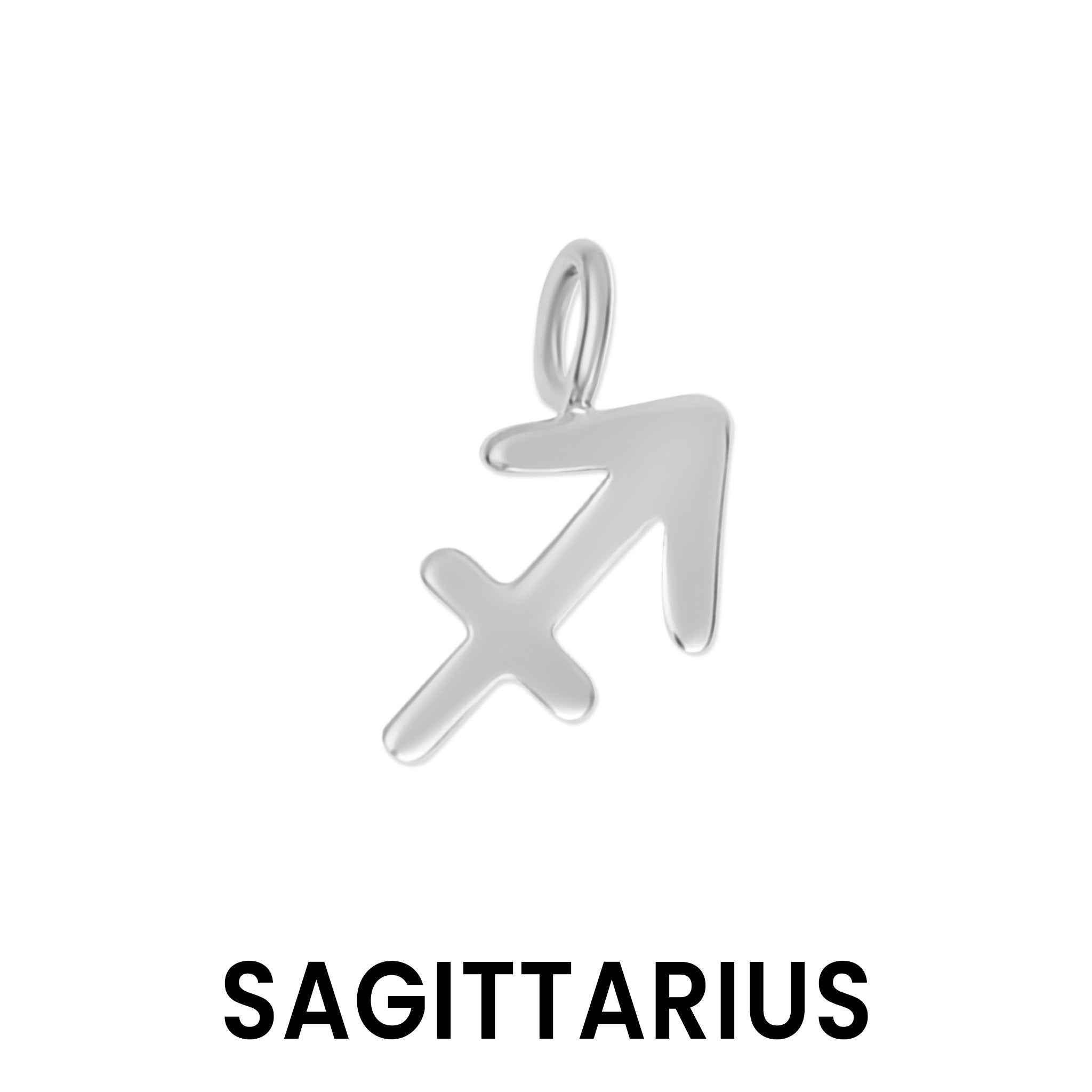 Permanent Jewelry .925 Sterling Silver Zodiac Charms / PMJ3011、mySite、dreamappss