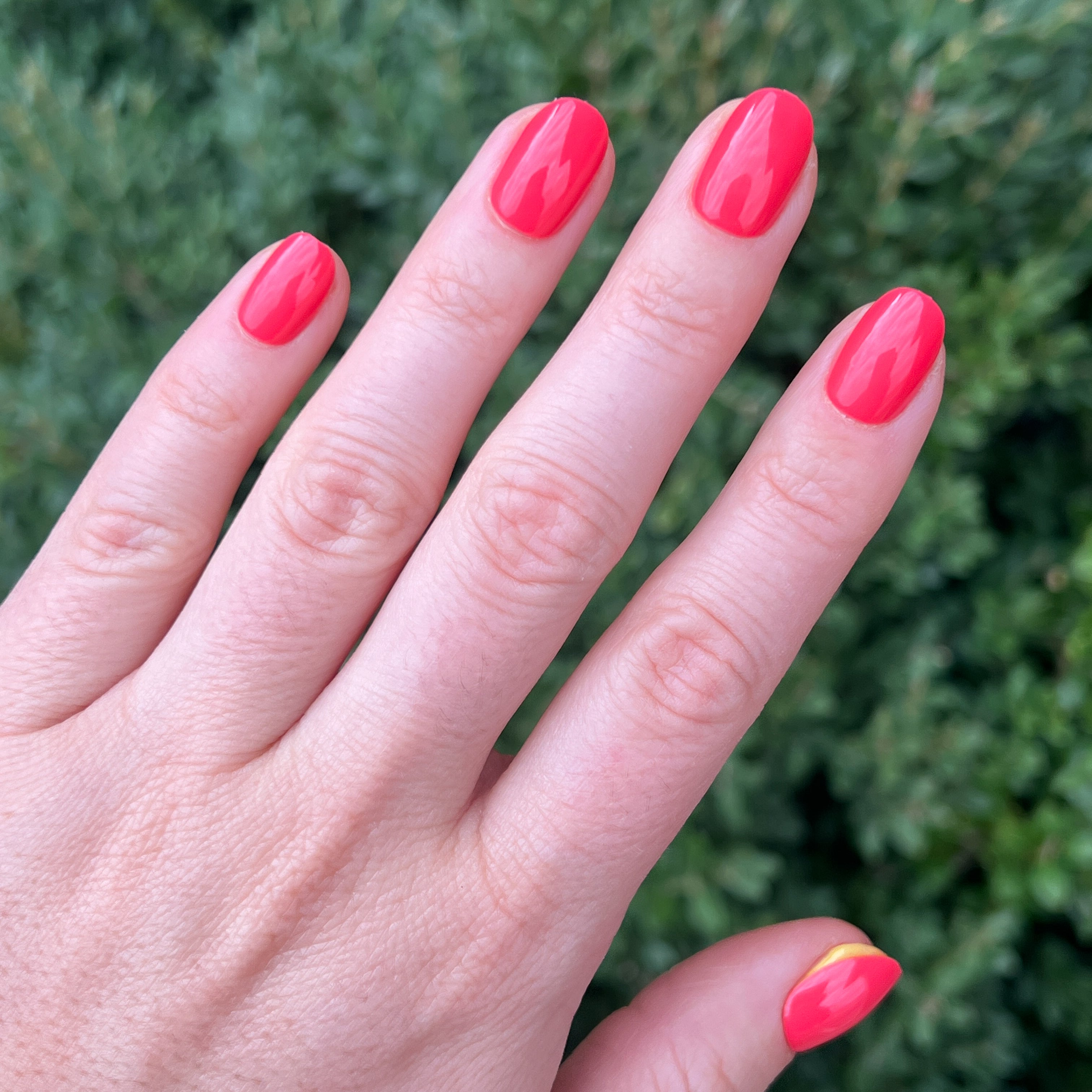 Field Day | Round | Extra Short、mySite、solidvoid