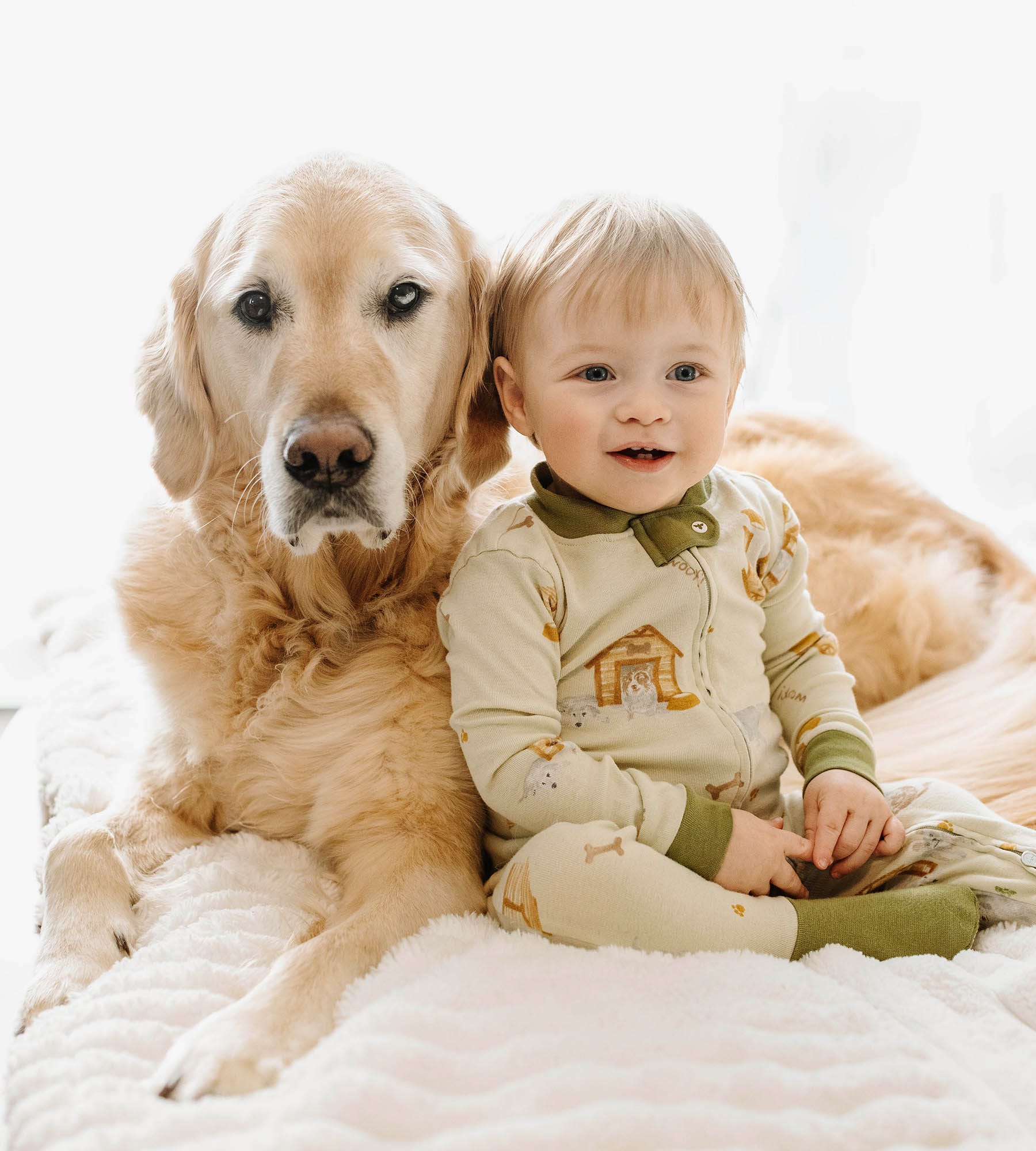  Dog House Organic Cotton Sleep & Play、mySite、layawaytickets