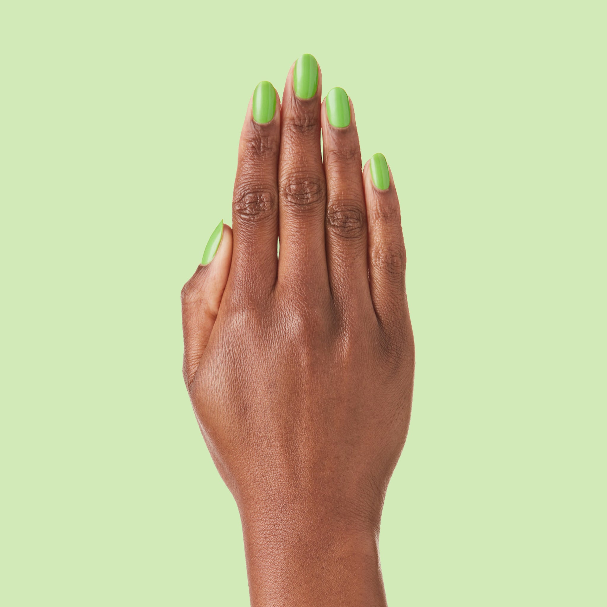 Lime Fizz、mySite、solidvoid