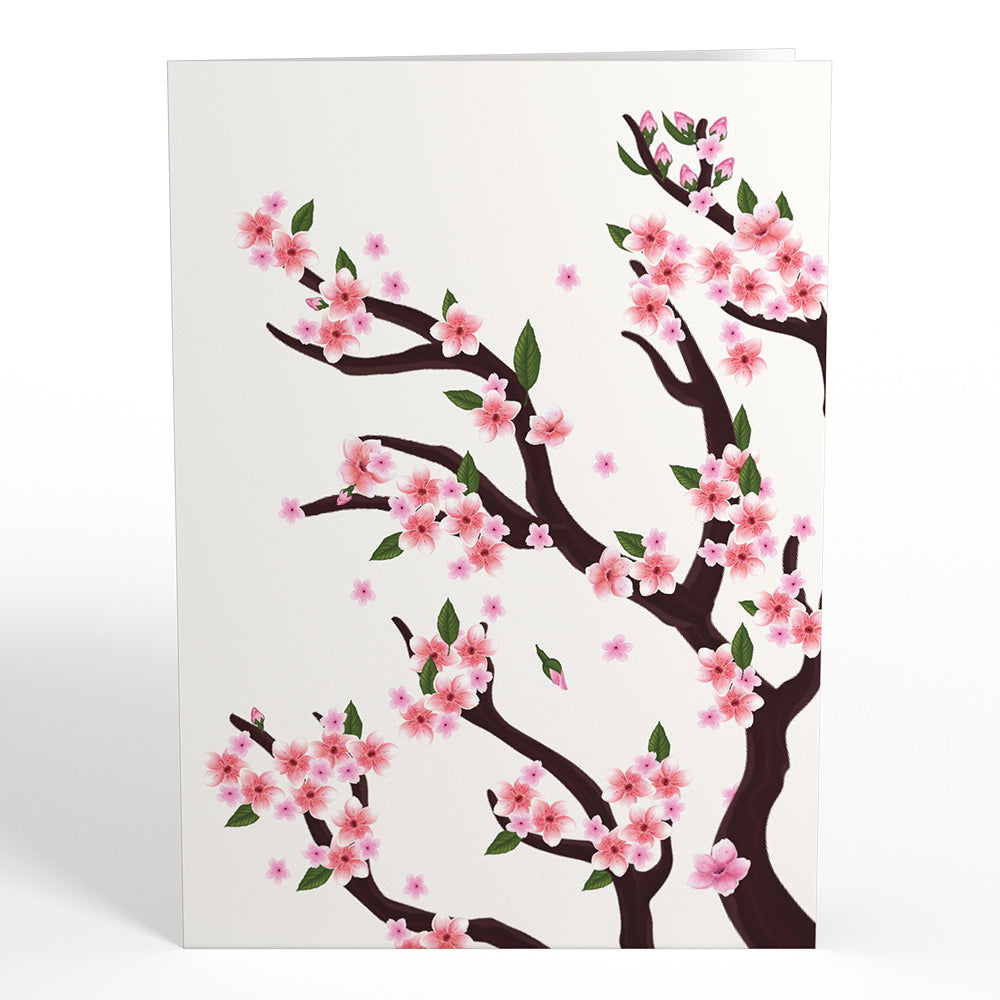 Cherry Blossom Branches in Bloom Pop-Up Card、mySite、solidvoid
