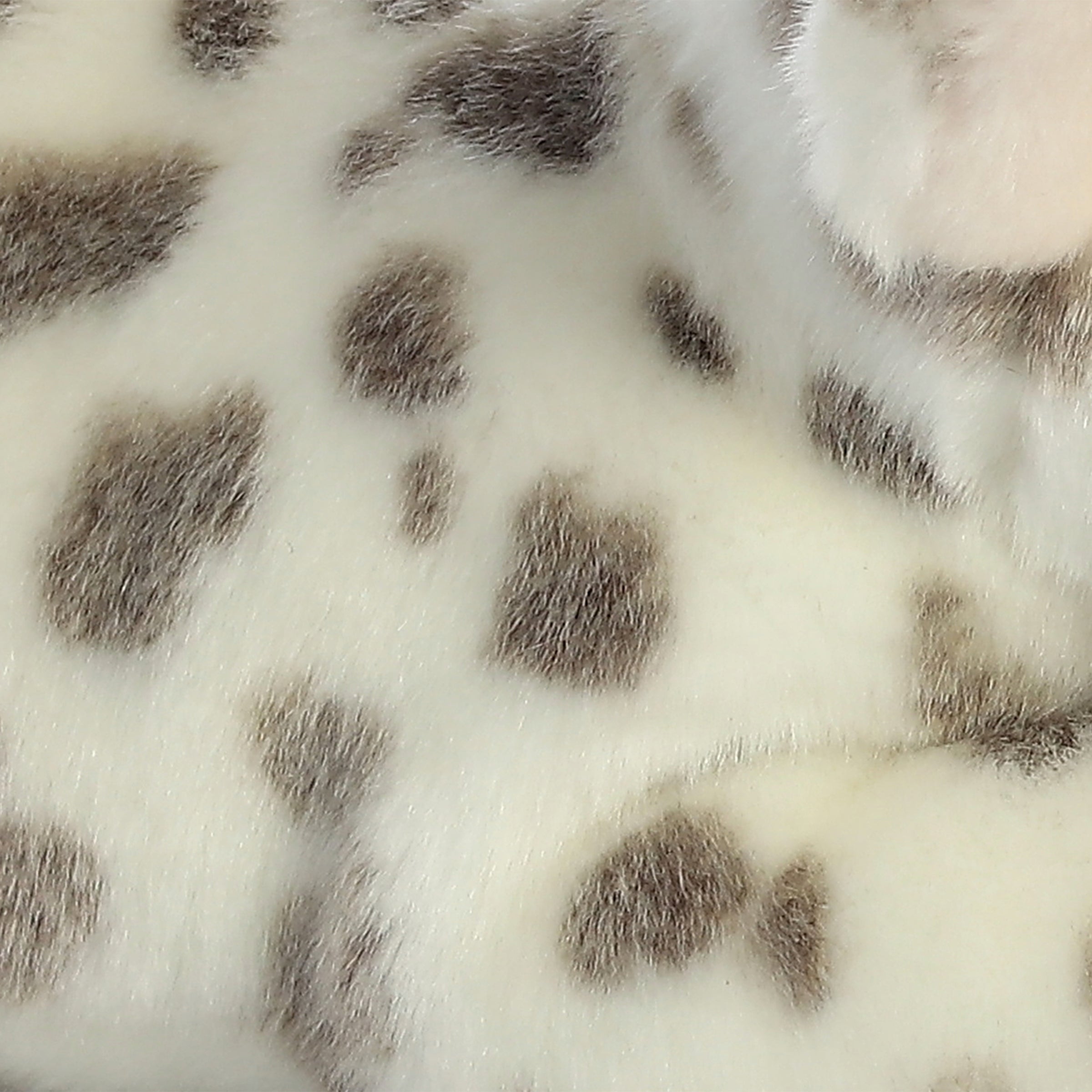 Aurora® - Miyoni® - Spotted Piglet、mySite、g9winljtr