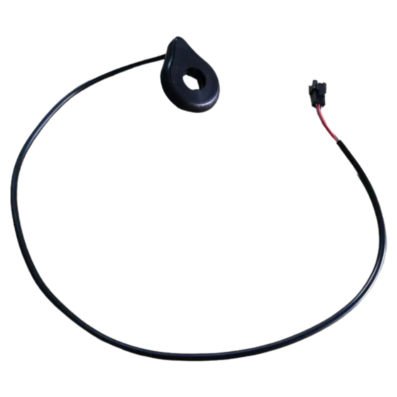 Speed Sensor、mySite、gigharbornorthrealestate