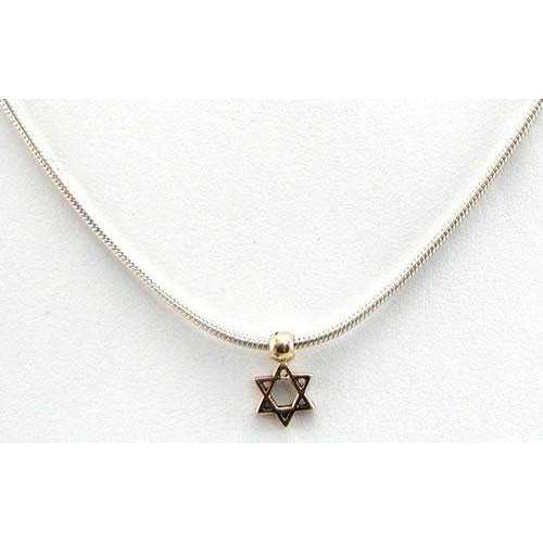 Michael Bromberg Ladies Small Star of David Necklace、mySite、topwebapps