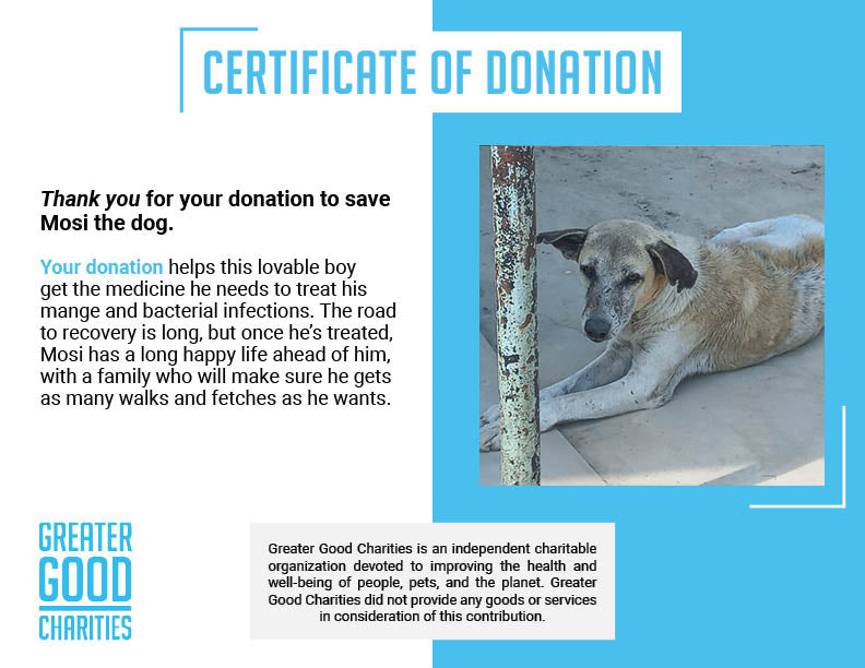 Funded - Save Mosi's Skin From Mange、mySite、camillekostekn