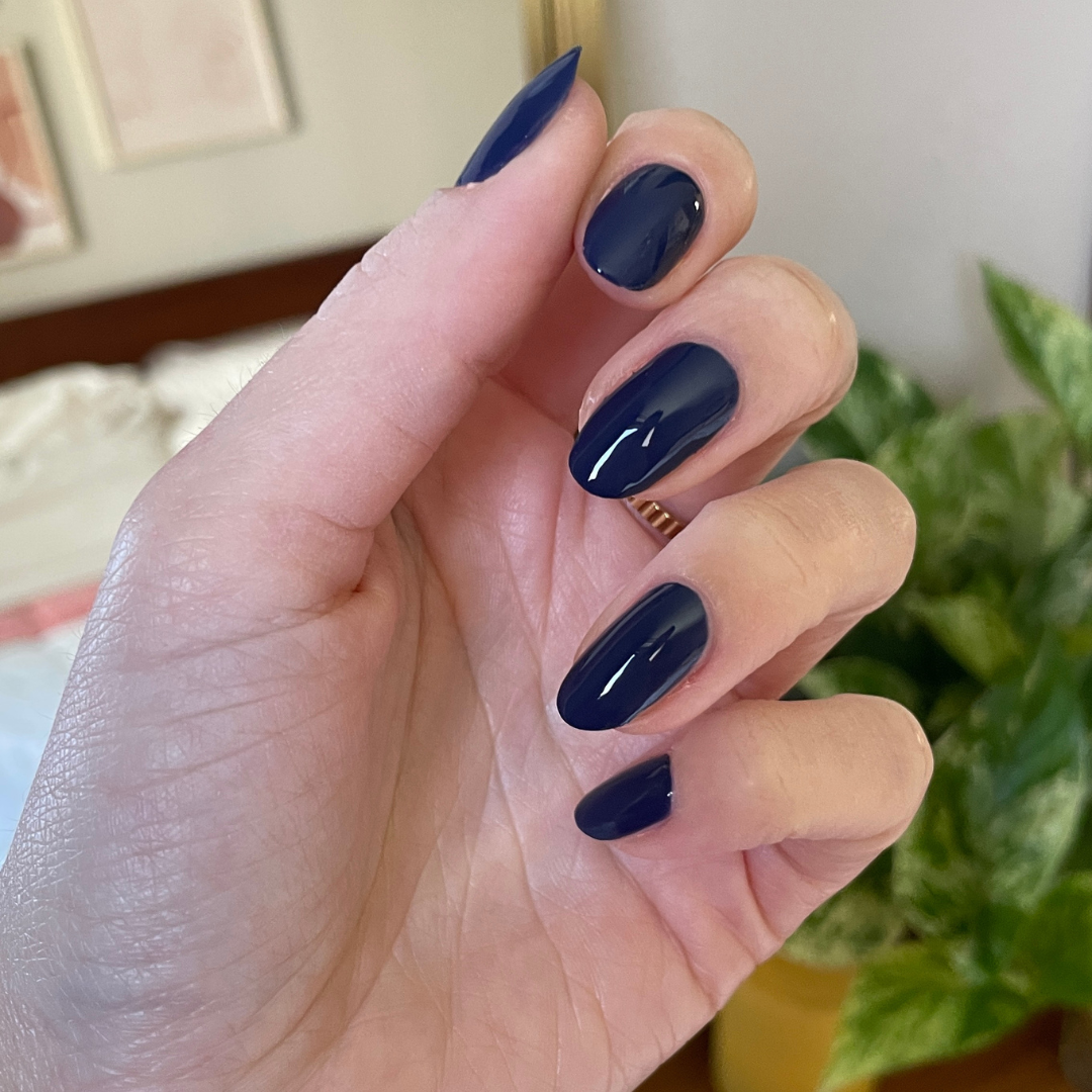 Ack, A Shark!、mySite、solidvoid