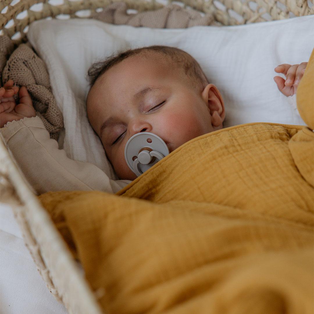  BIBS Colour Anatomical Pacifier - 2 Pack - Ivory/Sage - Latex、mySite、merchandisen