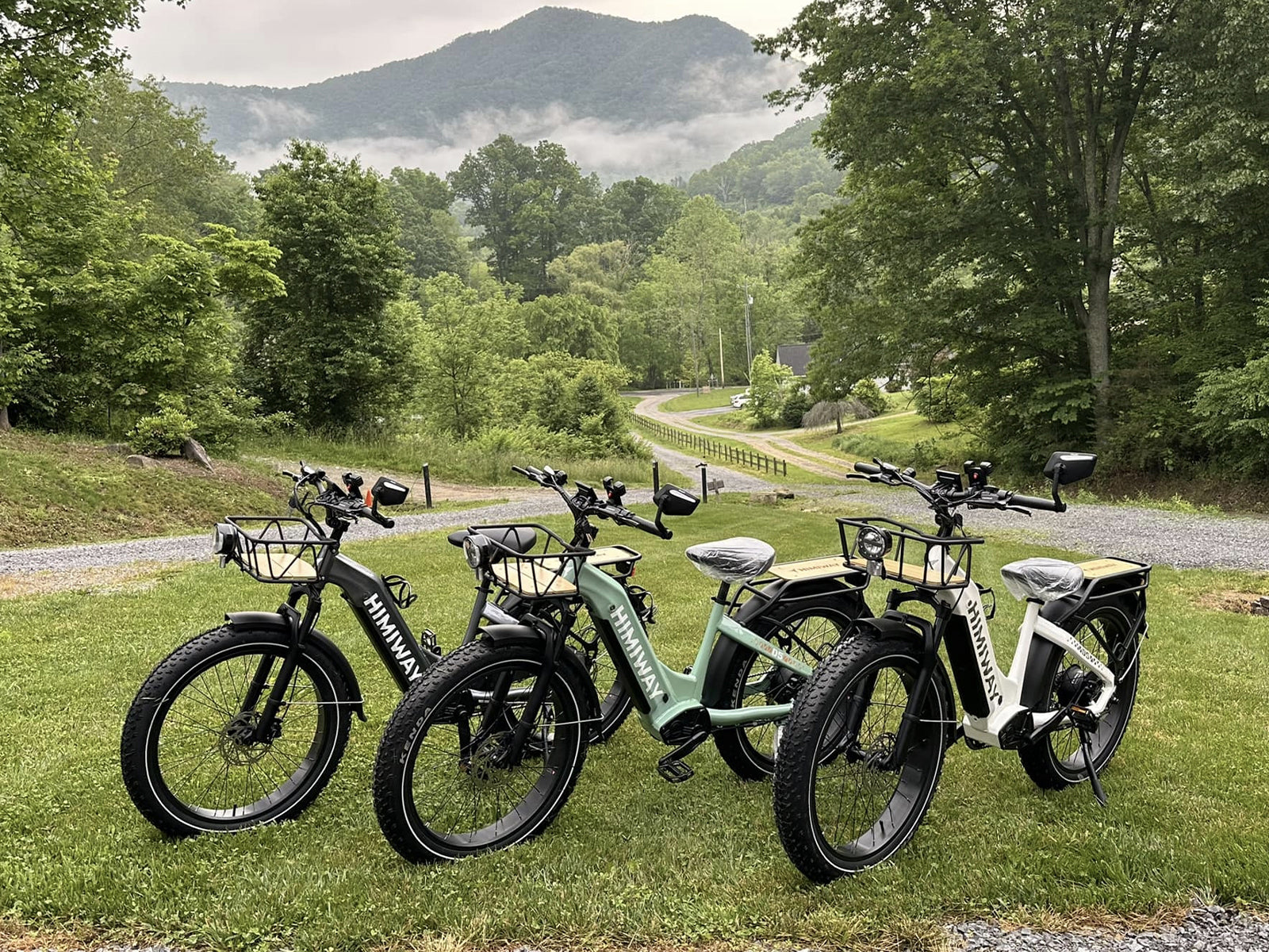  D5 ST(Zebra ST) / Premium All-terrain Electric Fat Bike、mySite、ghnorth