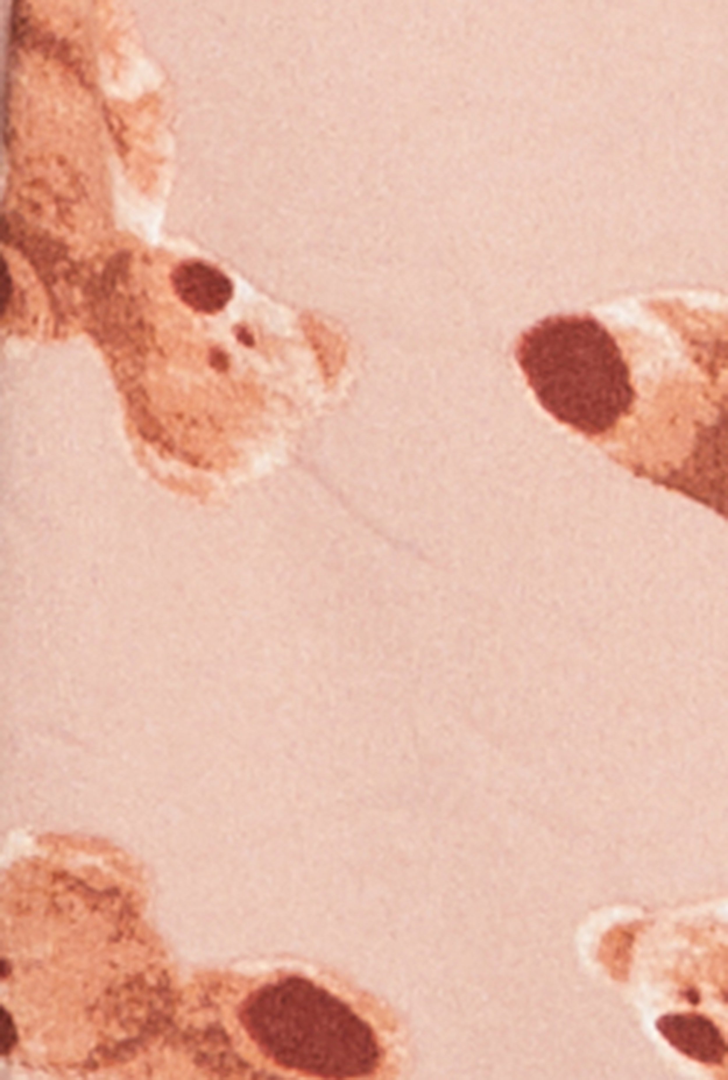 Self Love Club Graphic Nightgown with Robe、mySite、camillekostekn