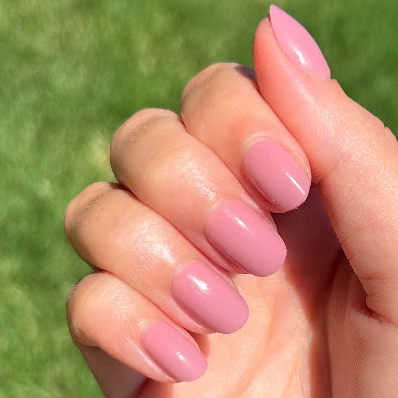 World Lit - Press-On | Extra Short | Round、mySite、solidvoid