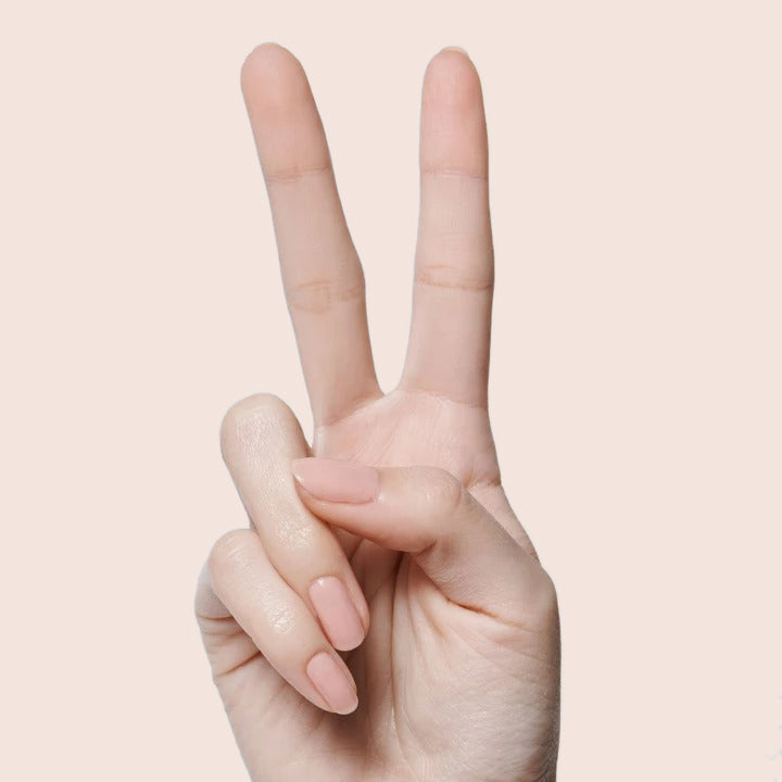 CHM、mySite、solidvoid