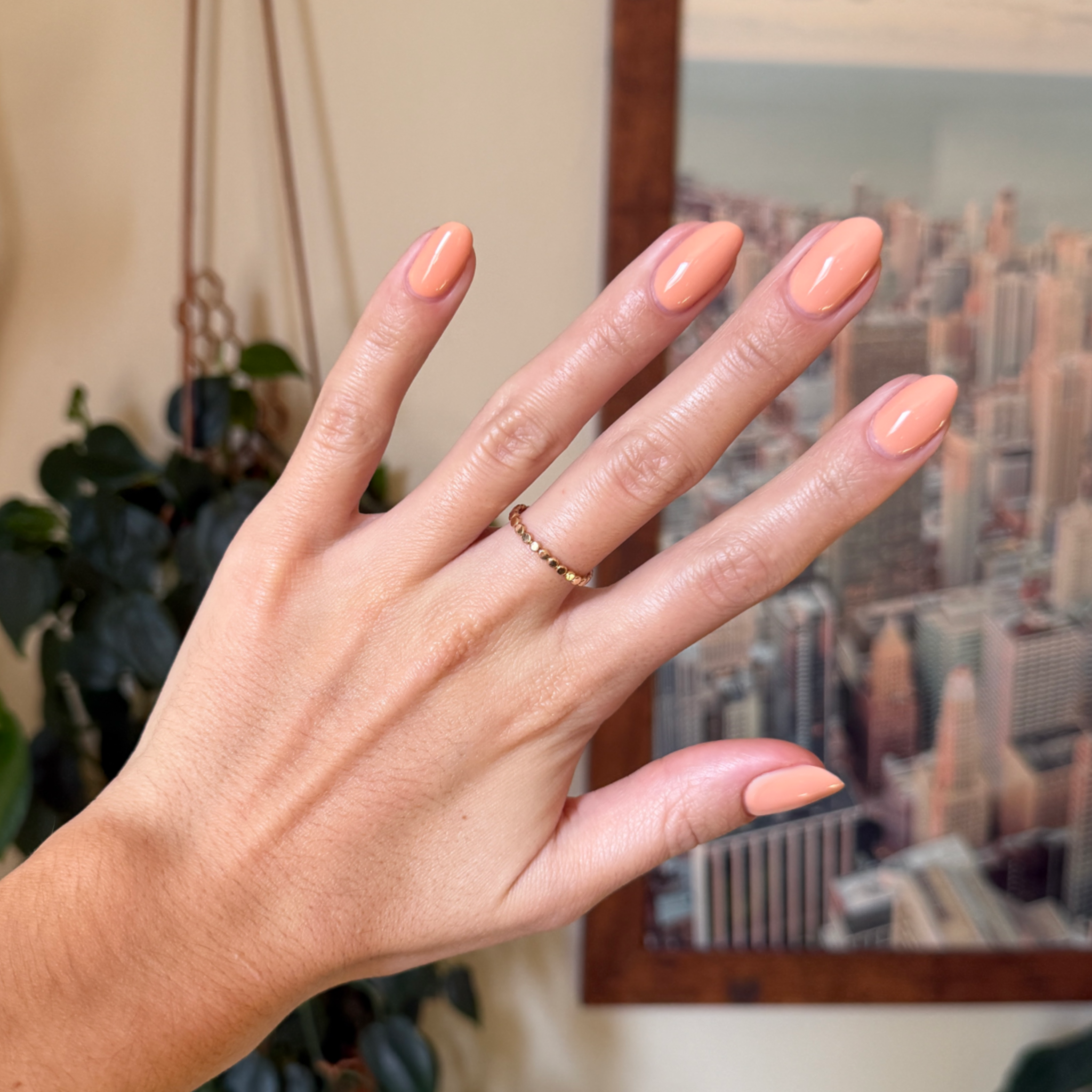 CS - Gel、mySite、solidvoid