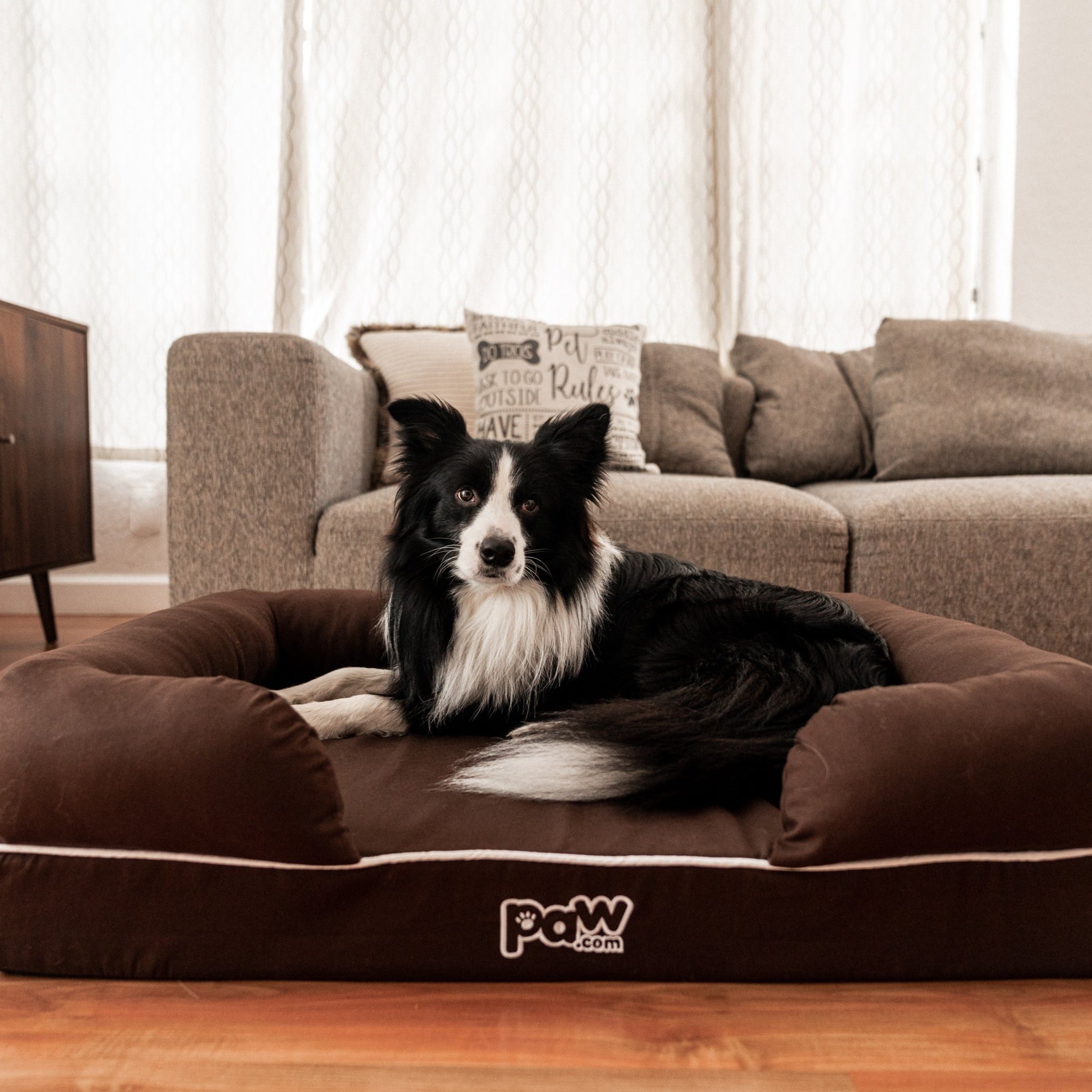 PupLounge™ Memory Foam Dog Bed Cover - Brown (Bed Not Included)、mySite、solidvoid