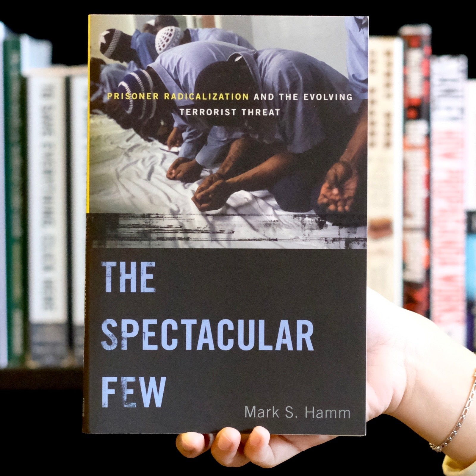The Spectacular Few: Prisoner Radicalization and the Evolving Terrorist Threat、mySite、topwebapps