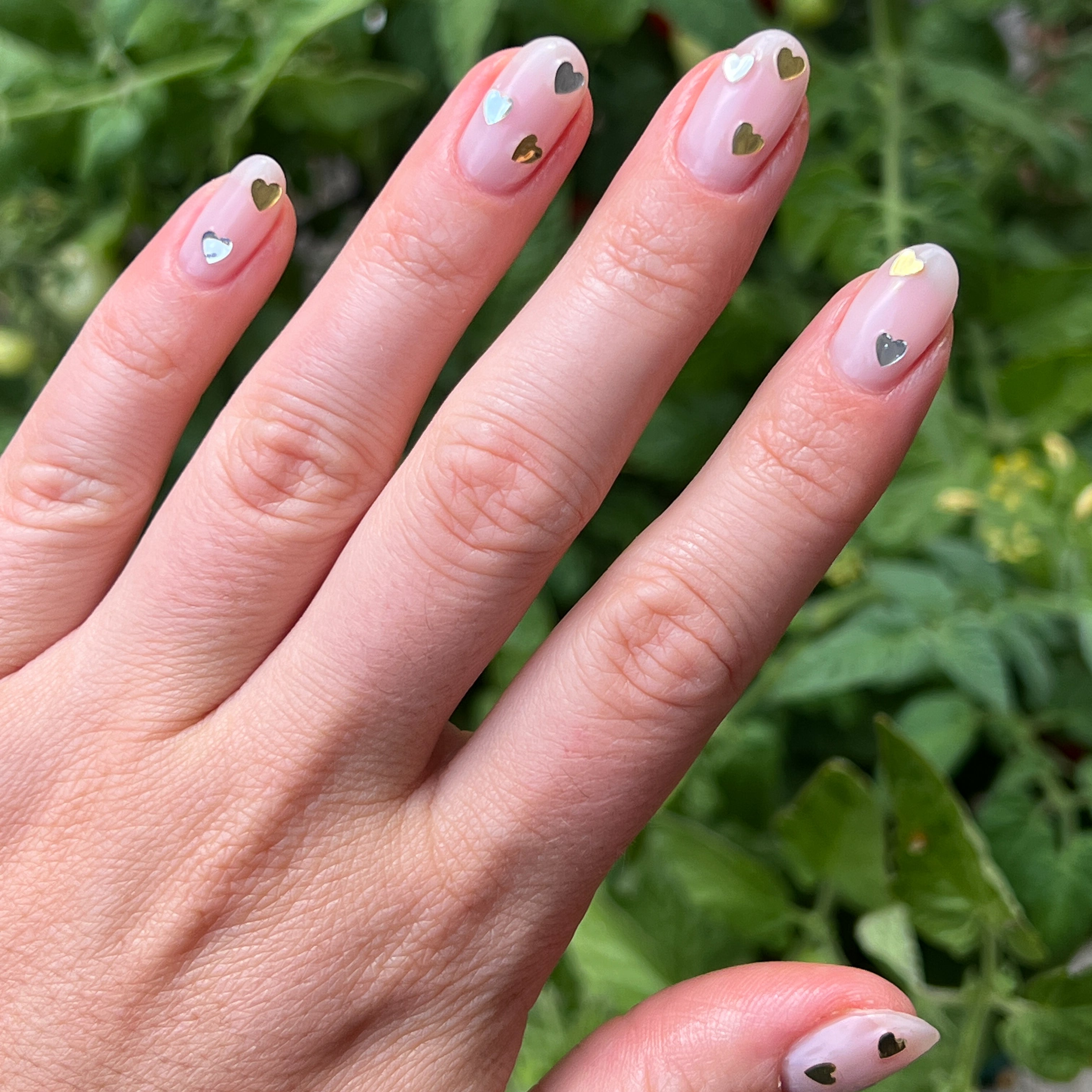 Biggest Fan、mySite、solidvoid