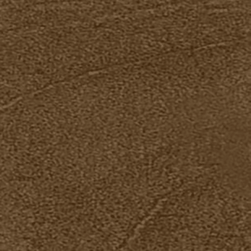 TC Nutty Brown、mySite、neckold