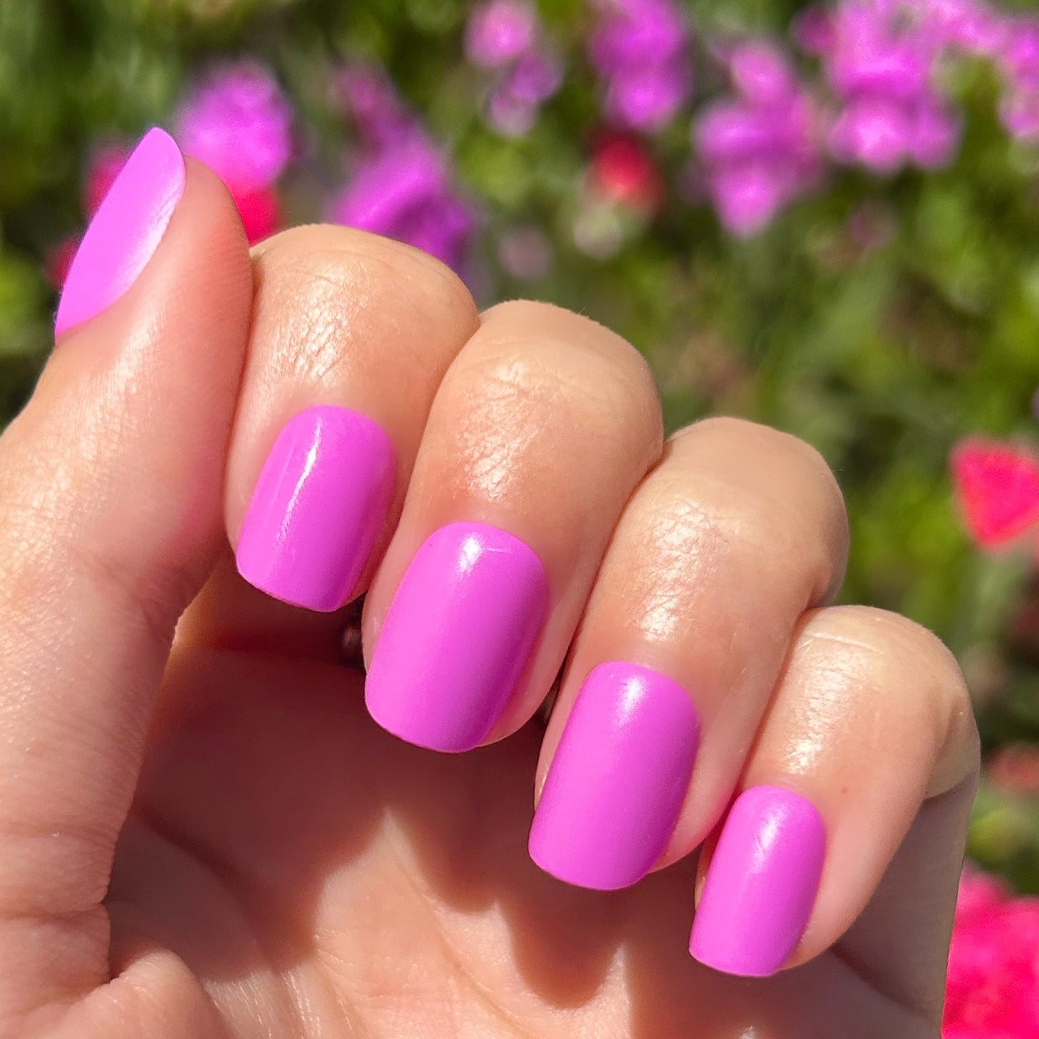 Jam, Please - Press-On | Extra Short | Squoval、mySite、solidvoid