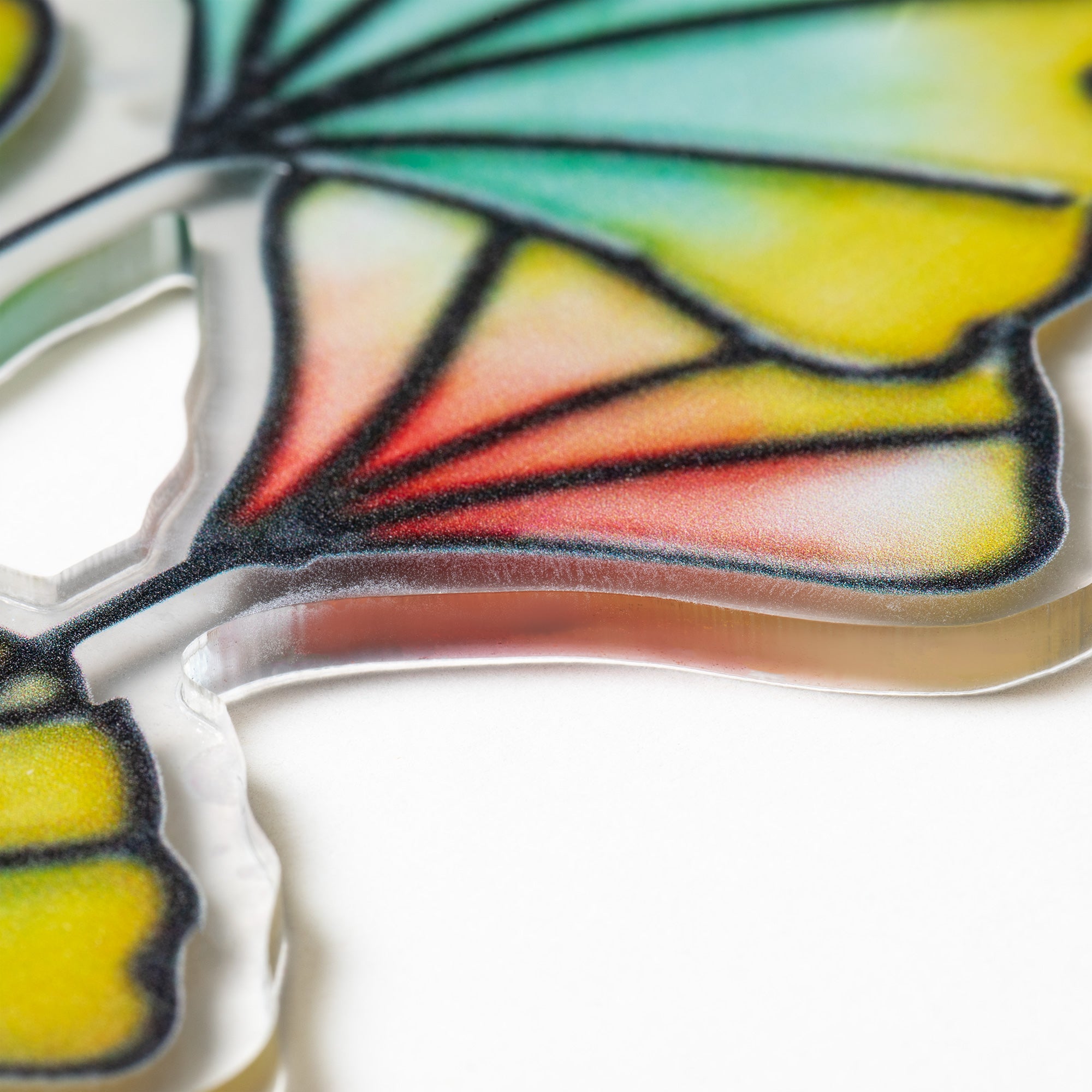 Beauty In Nature Indoor Sun Catcher、mySite、camillekostekn