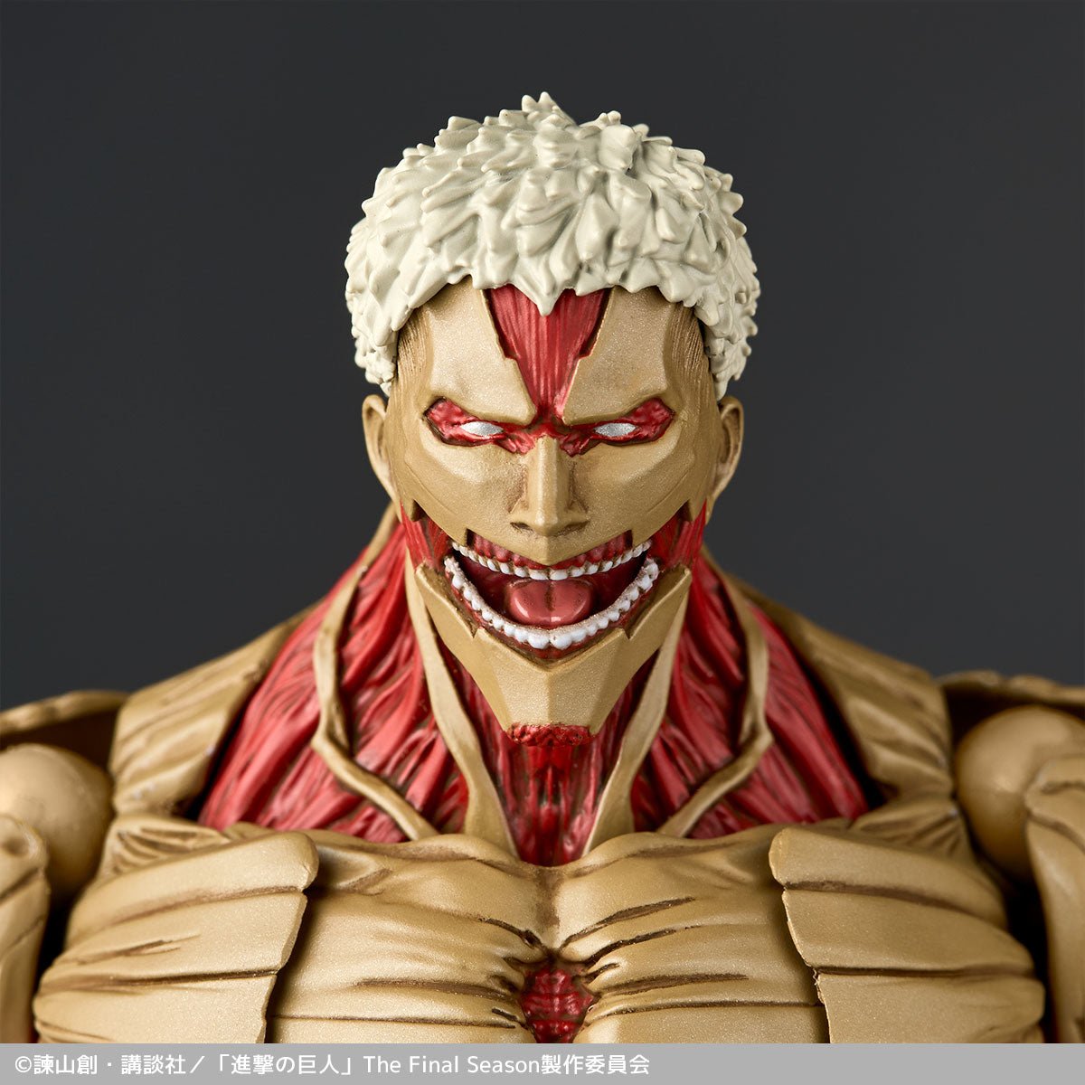 Amazing Yamaguchi Revoltech NR069 Armored Titan (Reiner Braun)、mySite、hgirdovlk