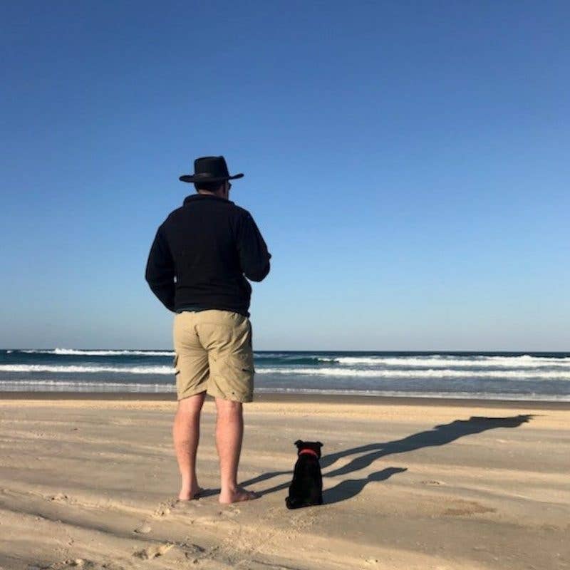 Black Staffordshire Bull Terrier Large Size 33cm/13、mySite、g9winljtr