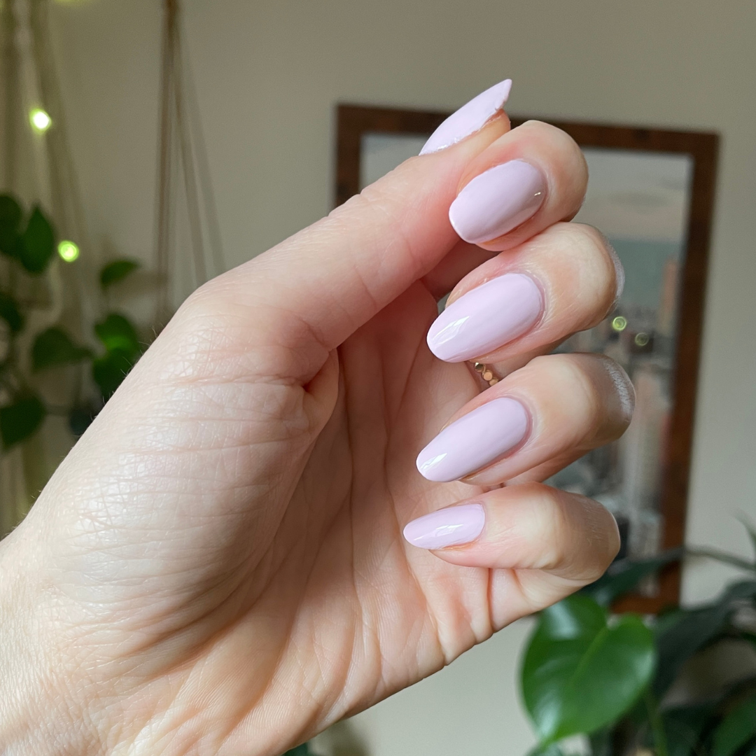 Gelato、mySite、solidvoid