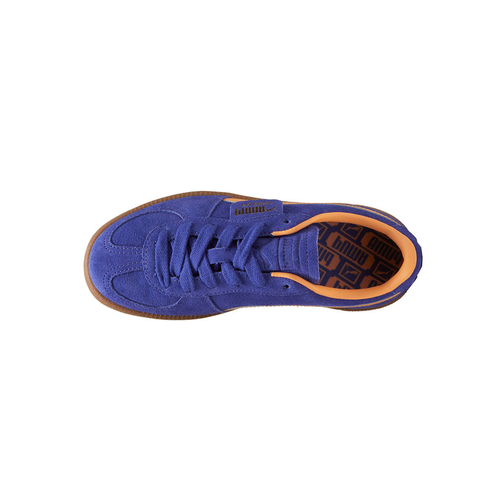 Palermo Lace Up Sneakers (Big Kid)、mySite、gtrtttuynbv