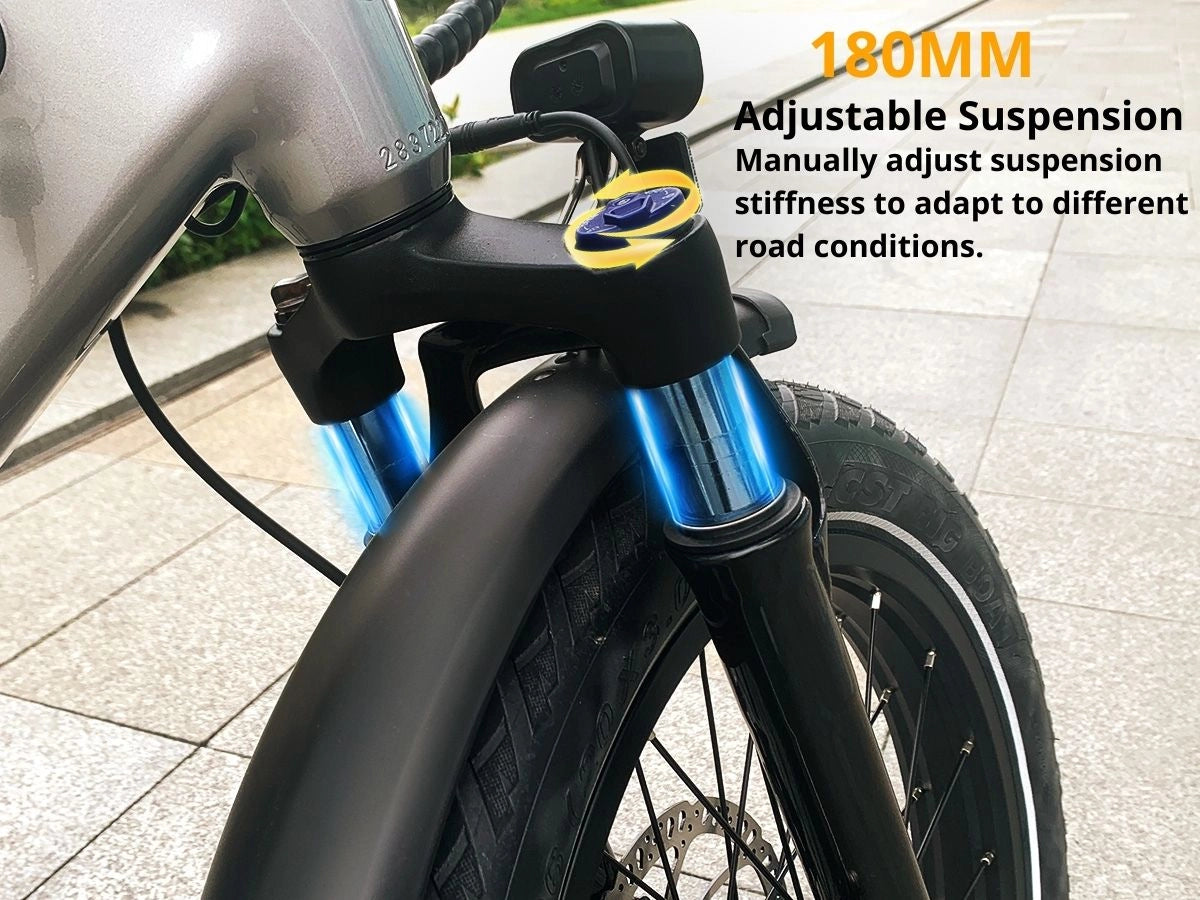 Aipas®A6 D Volt Cargo Ebike、mySite、gigharbornorthrealestate