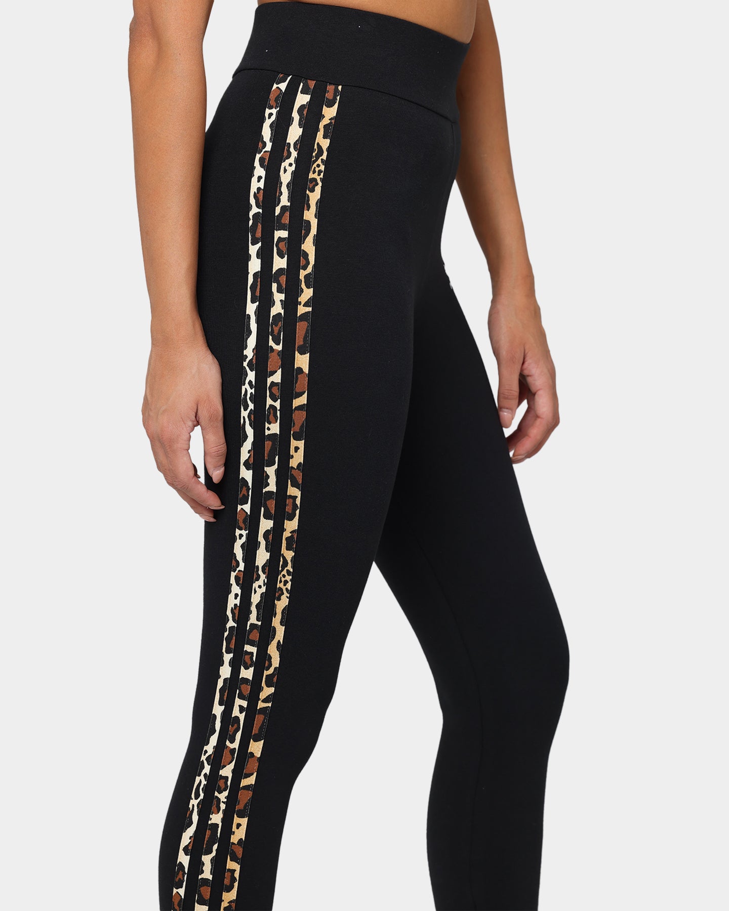 Adidas Womens Tights Black、mySite、zt4zffjzw