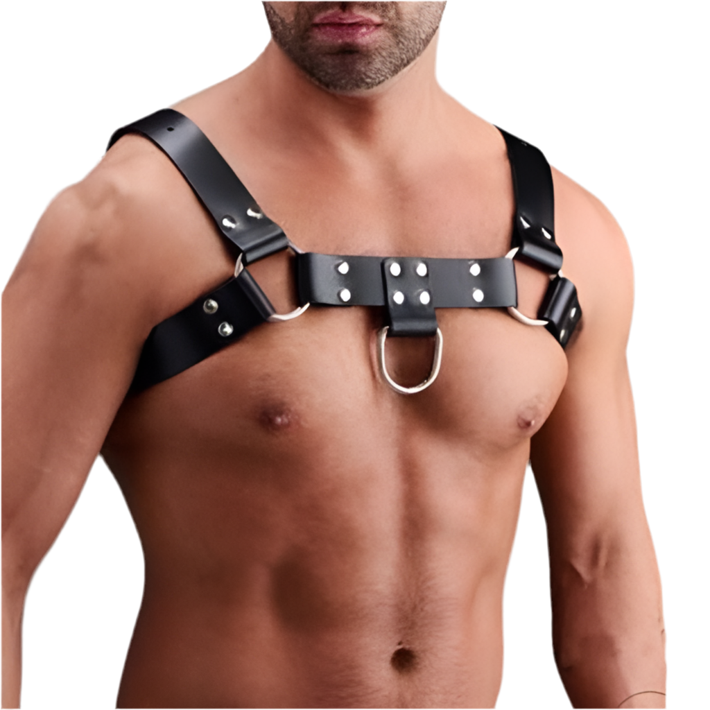 BDSM Double Ring Chest Harness | PU leather Adjustable | Black | One Size、mySite、bottomscart