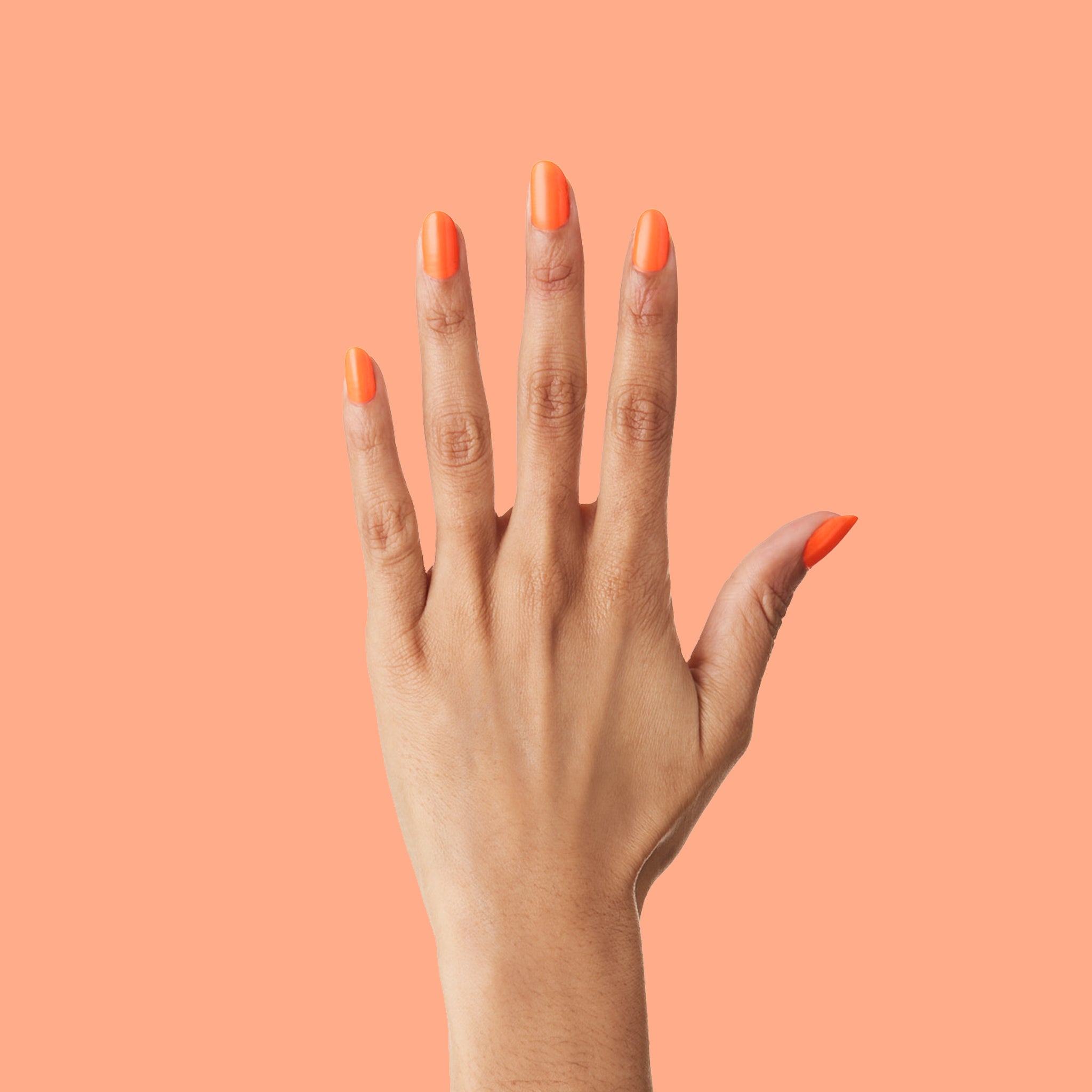 Orange Wedge、mySite、solidvoid