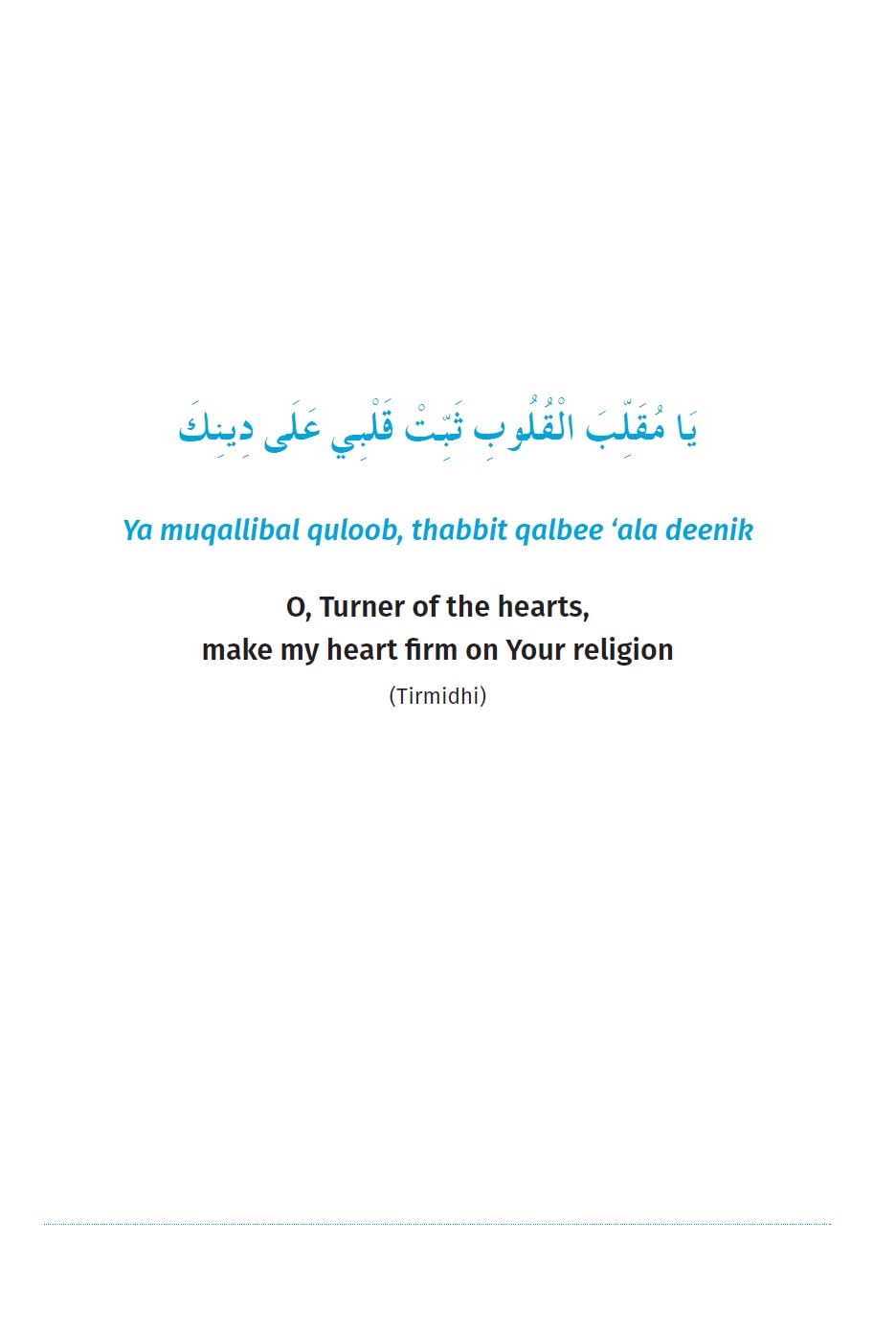 A Muslim Boy's Guide to Life's Big Changes、mySite、topwebapps