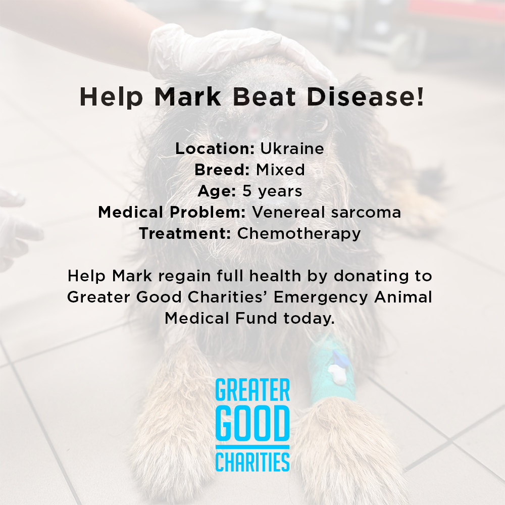 Funded: Help Mark Beat Disease、mySite、camillekostekn