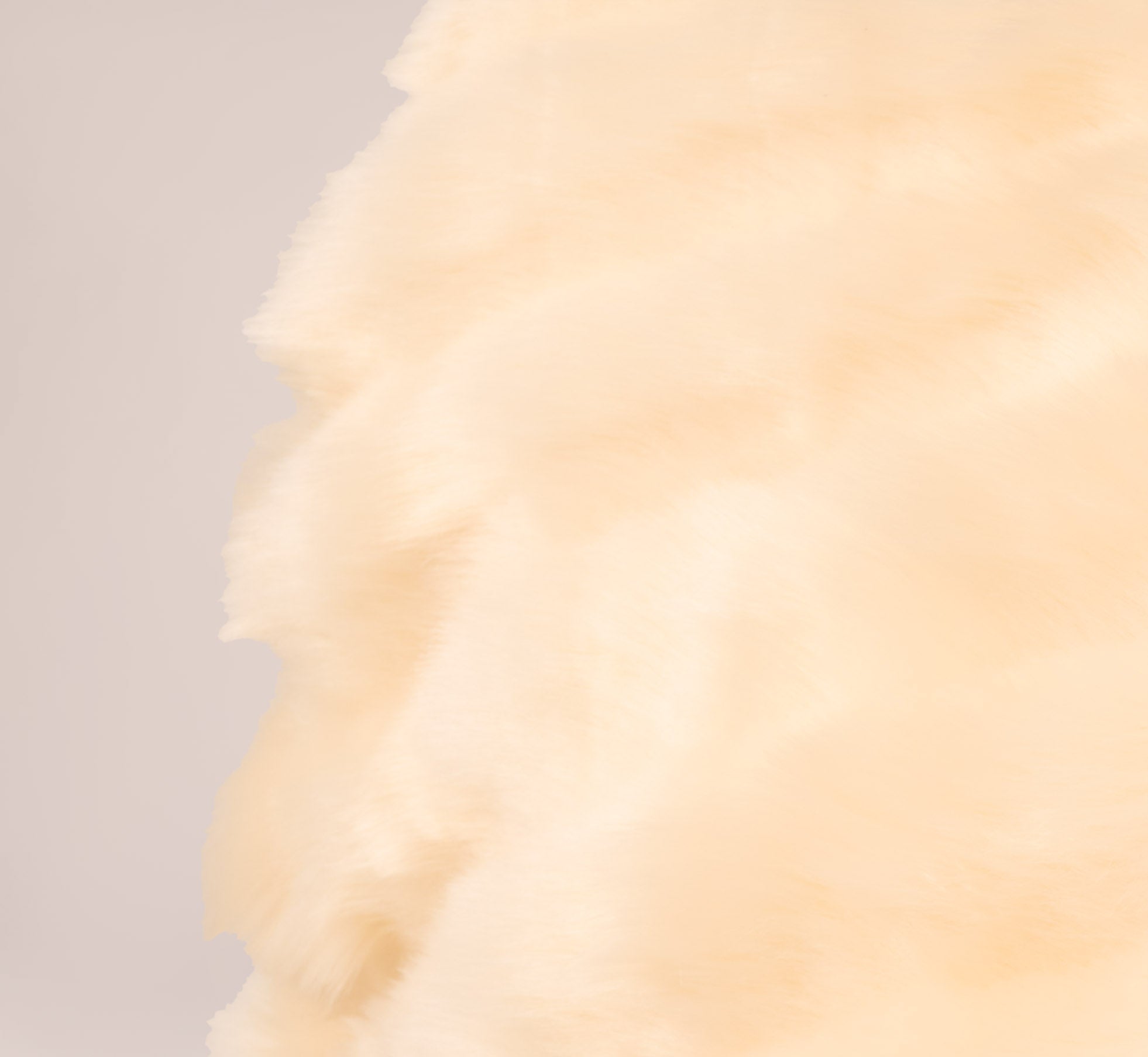 Faux Fur Wrap With Stone Brooch In Champagne、mySite、solidvoid