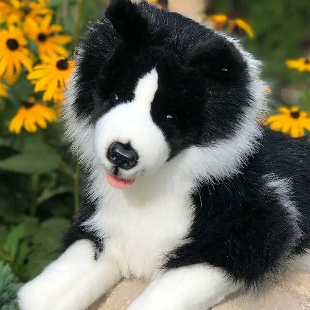 Plush Realistic Border Collie by Auswella、mySite、g9winljtr