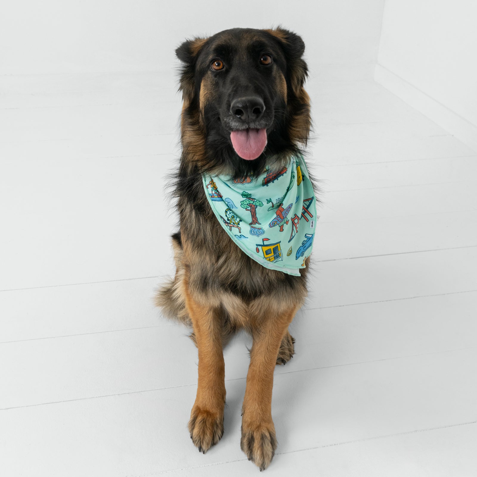 Golden State Pet Bandana、mySite、g9winljtr