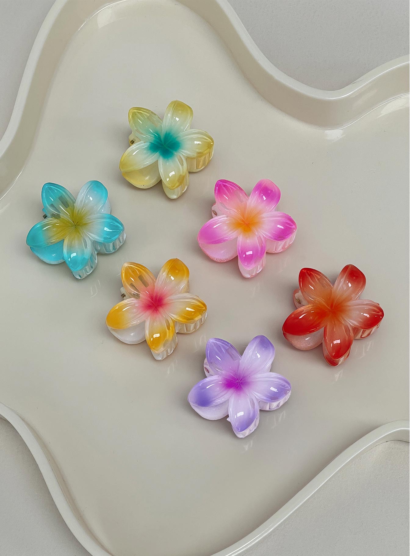 Young Forever Hair Clip Pack Multi、mySite、solidvoid