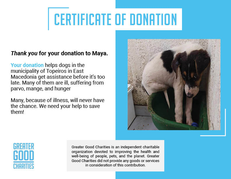 Funded: Maya Is Giving Up Hope And Needs Your Help、mySite、camillekostekn