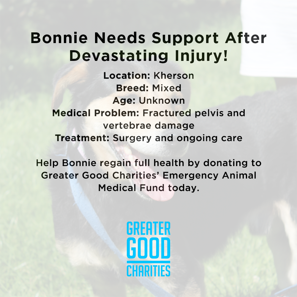 Funded: Bonnie Needs Support After Devastating Injury、mySite、camillekostekn