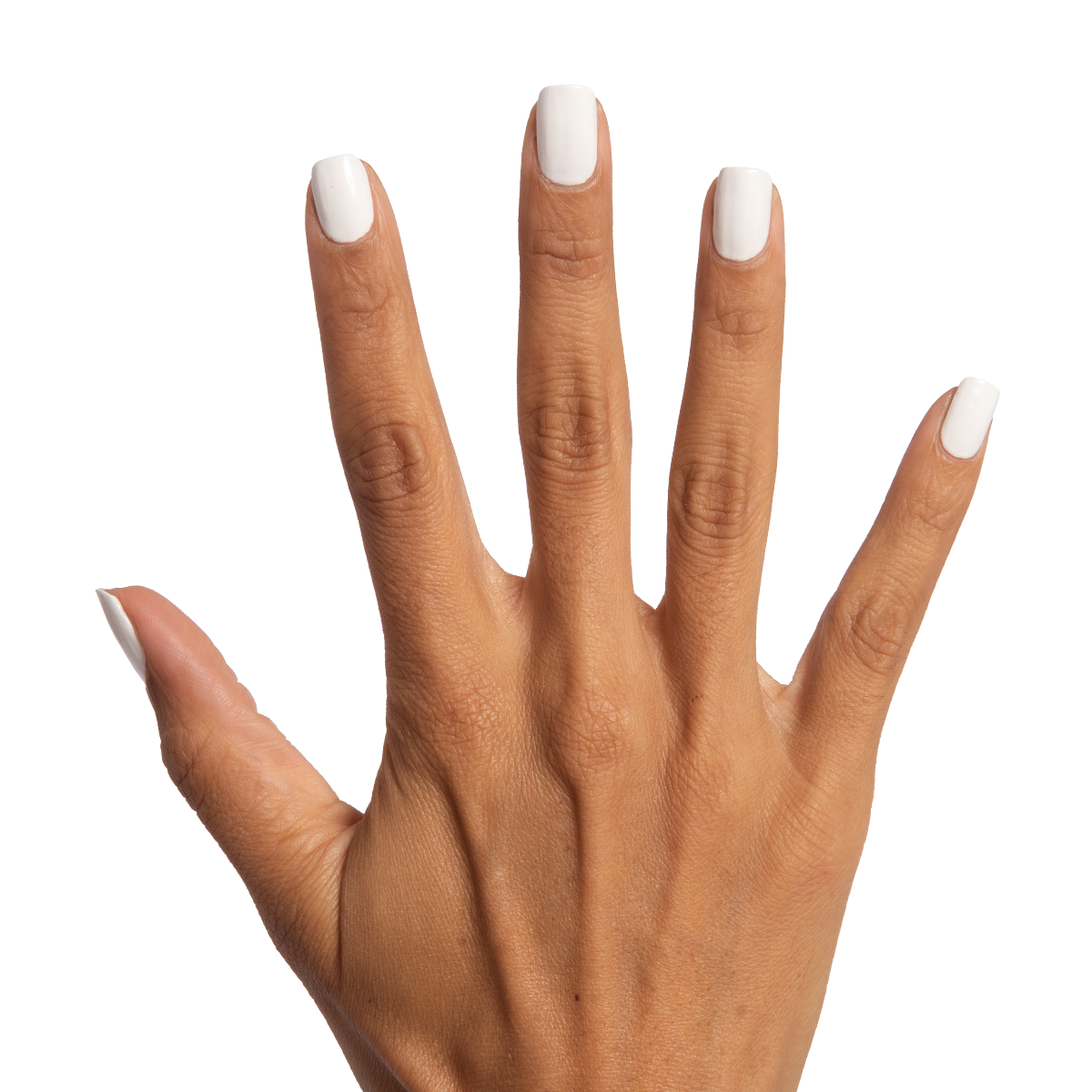 Swan、mySite、solidvoid