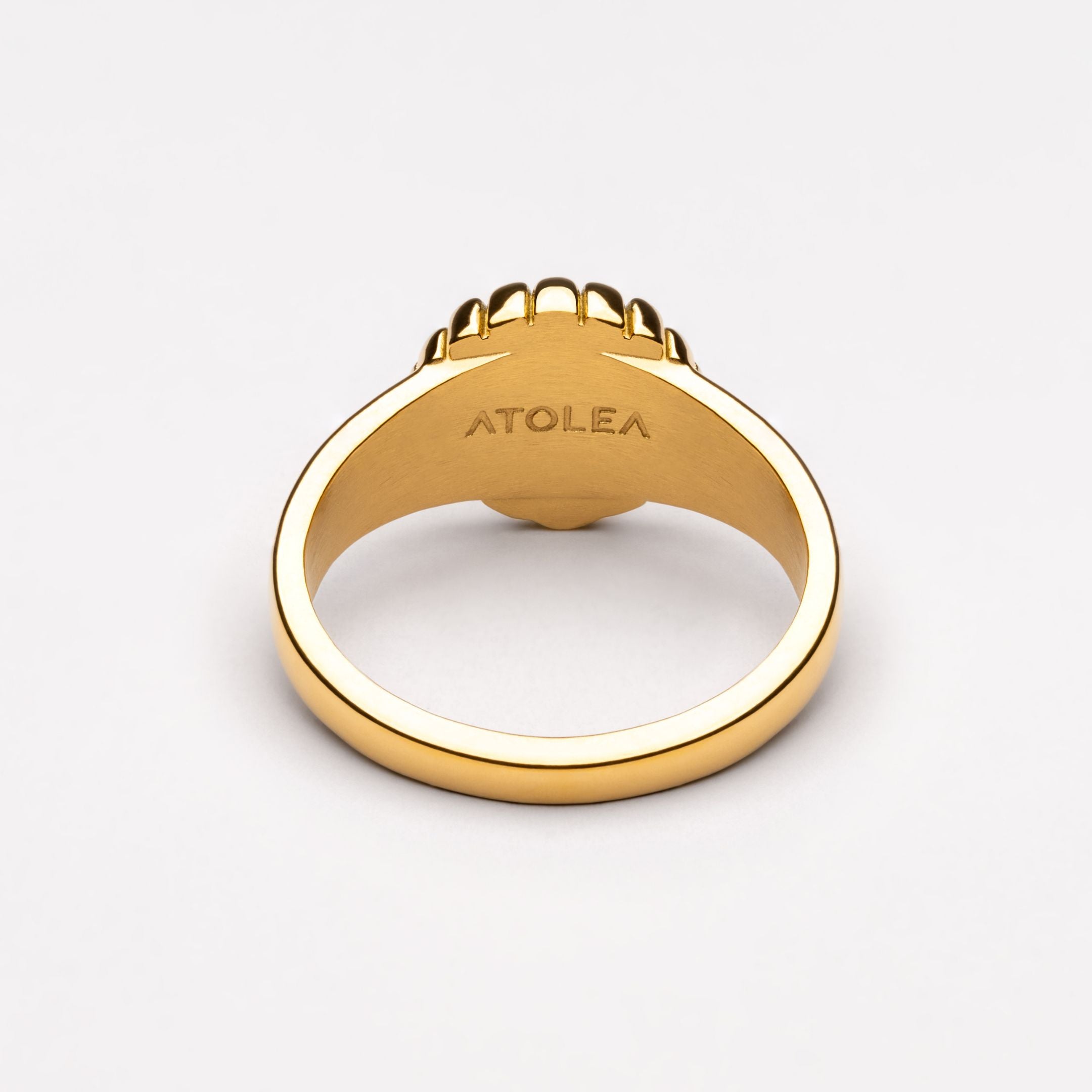 Seashell Ring、mySite、hinf8tx79