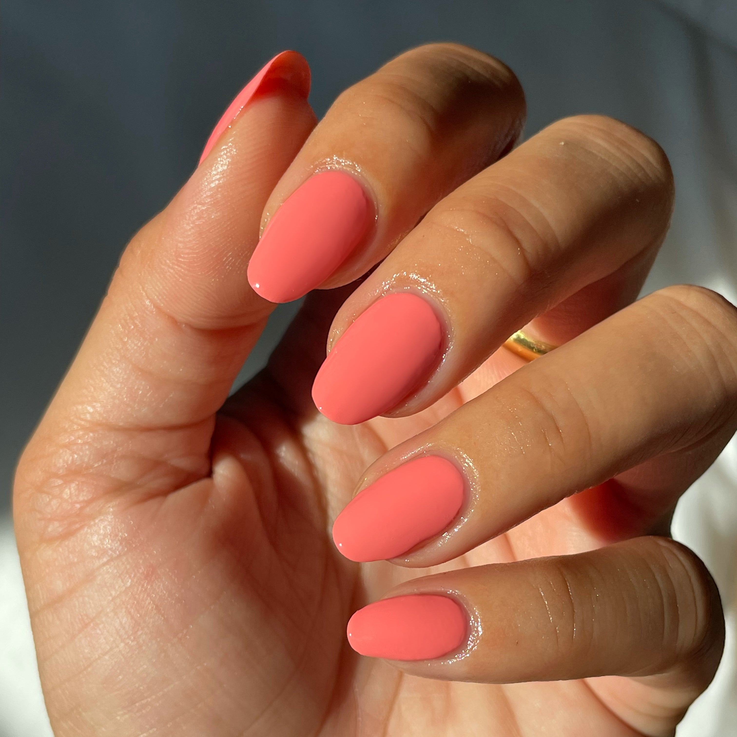 Stinson Sunset、mySite、solidvoid