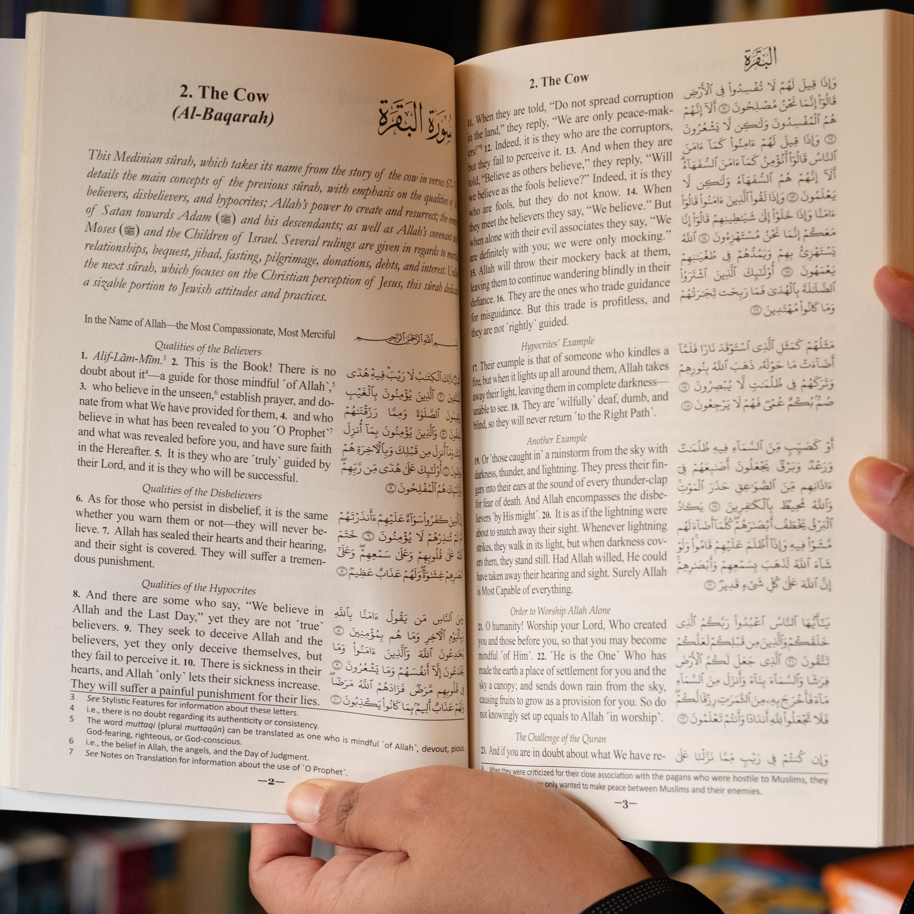 The Clear Quran (English with Arabic Text) PB、mySite、topwebapps