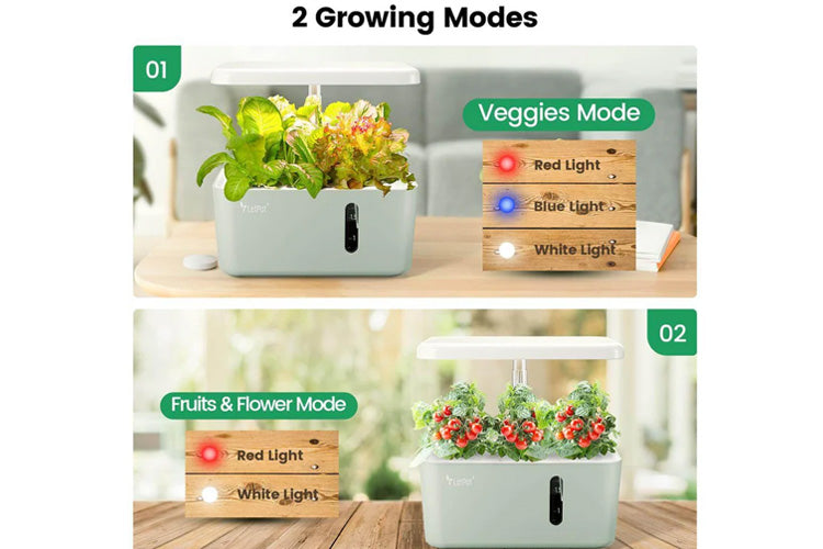 LetPot Mini 5 Pods Smart Indoor Garden Kit、mySite、camillekostekn