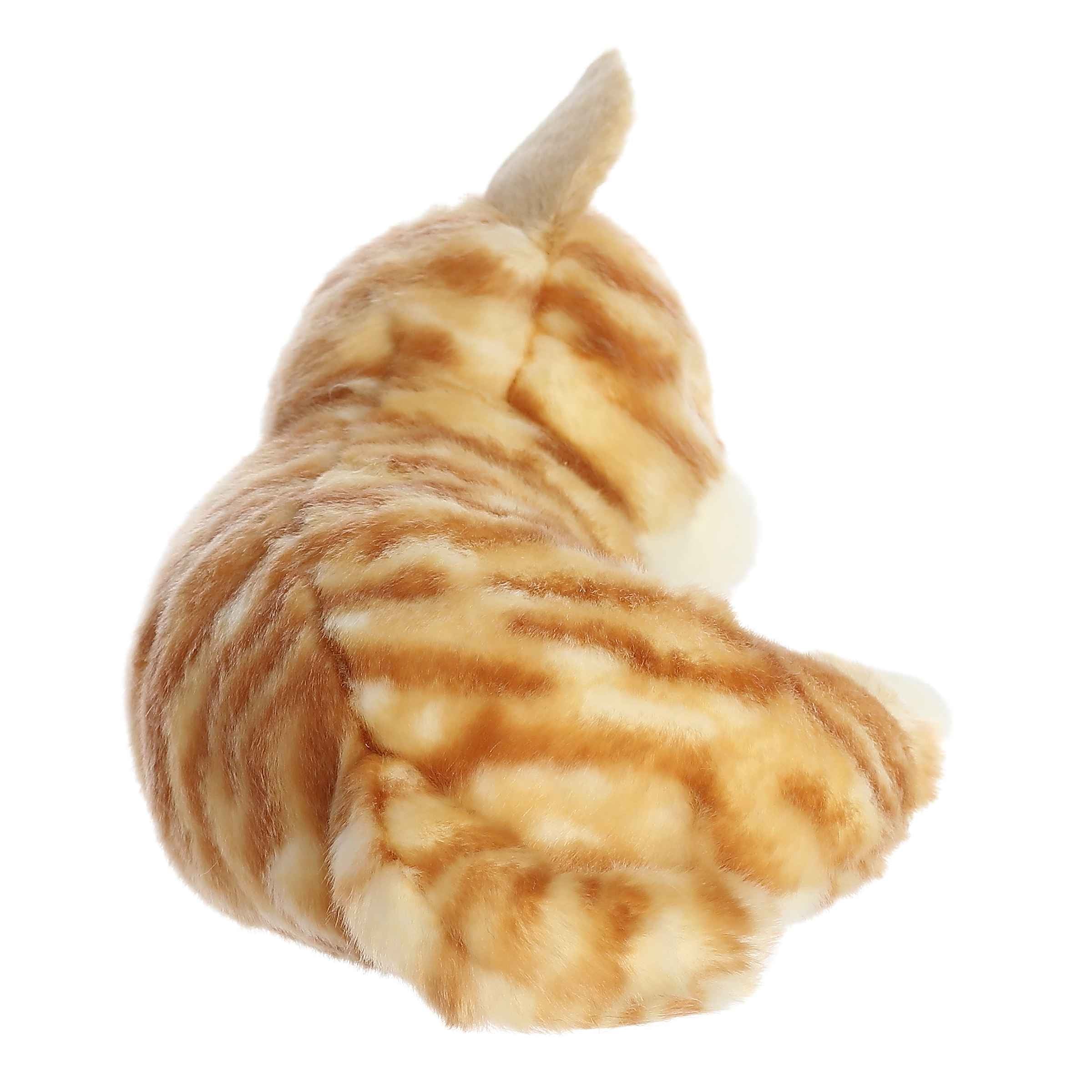 Aurora® - Miyoni® Tots - 10 Sleepy Tabby Kitten、mySite、g9winljtr