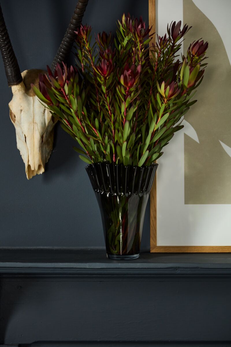  Lolanthe Vase、mySite、elrpsem3k