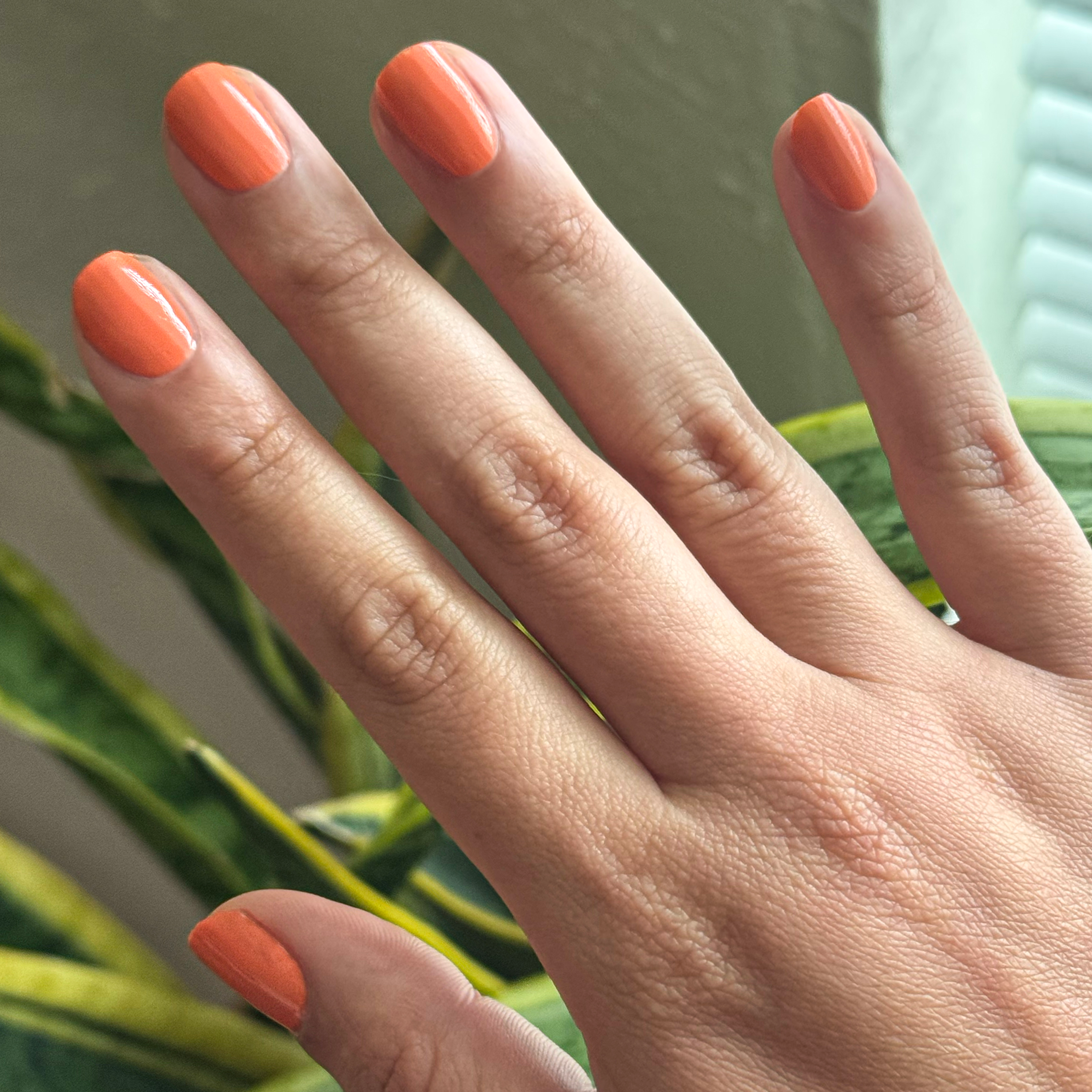 Bounce Back、mySite、solidvoid